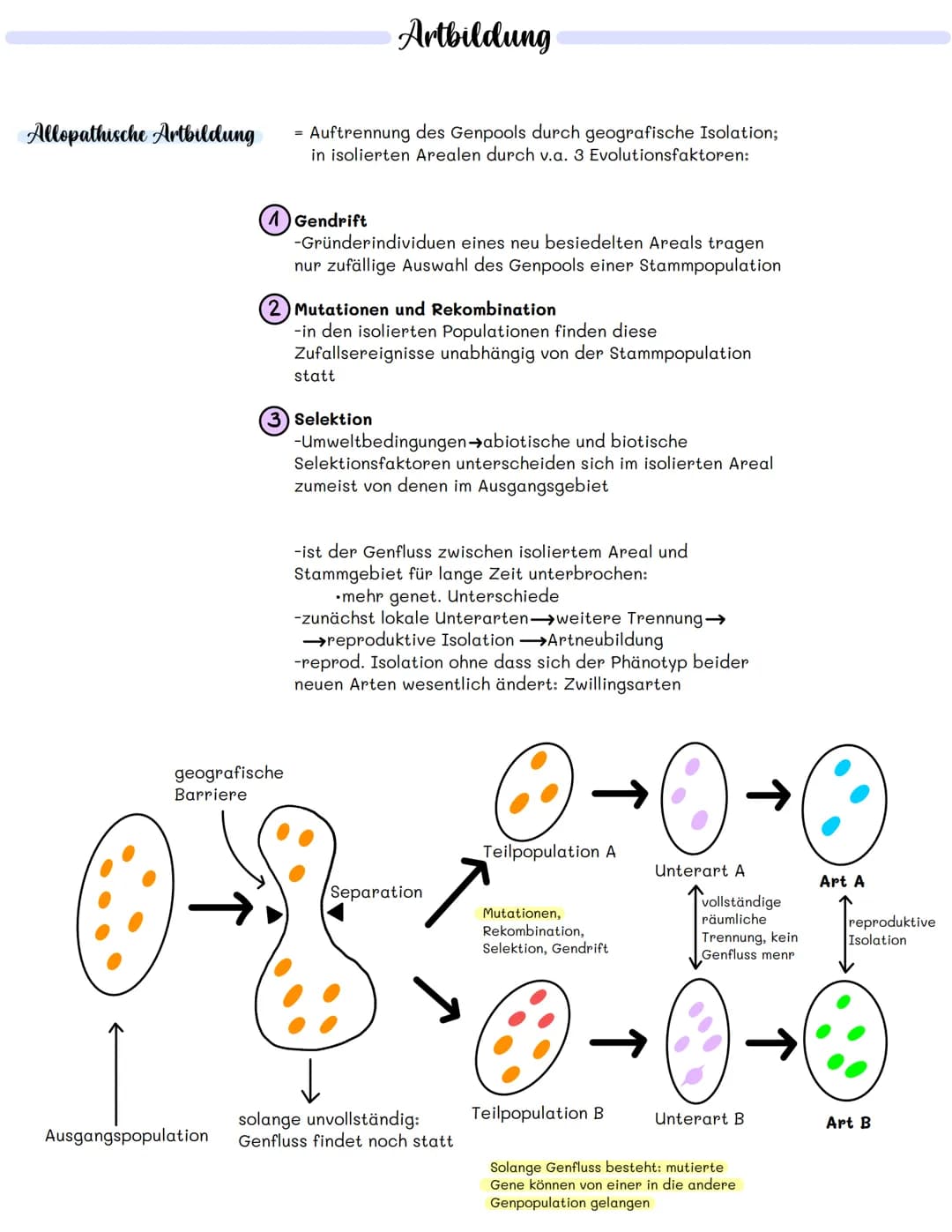 # Artbildung
Allopathische Artbildung
- Auftrennung des Genpools durch geografische Isolation;
in isolierten Arealen durch v.a. 3 Evolutio