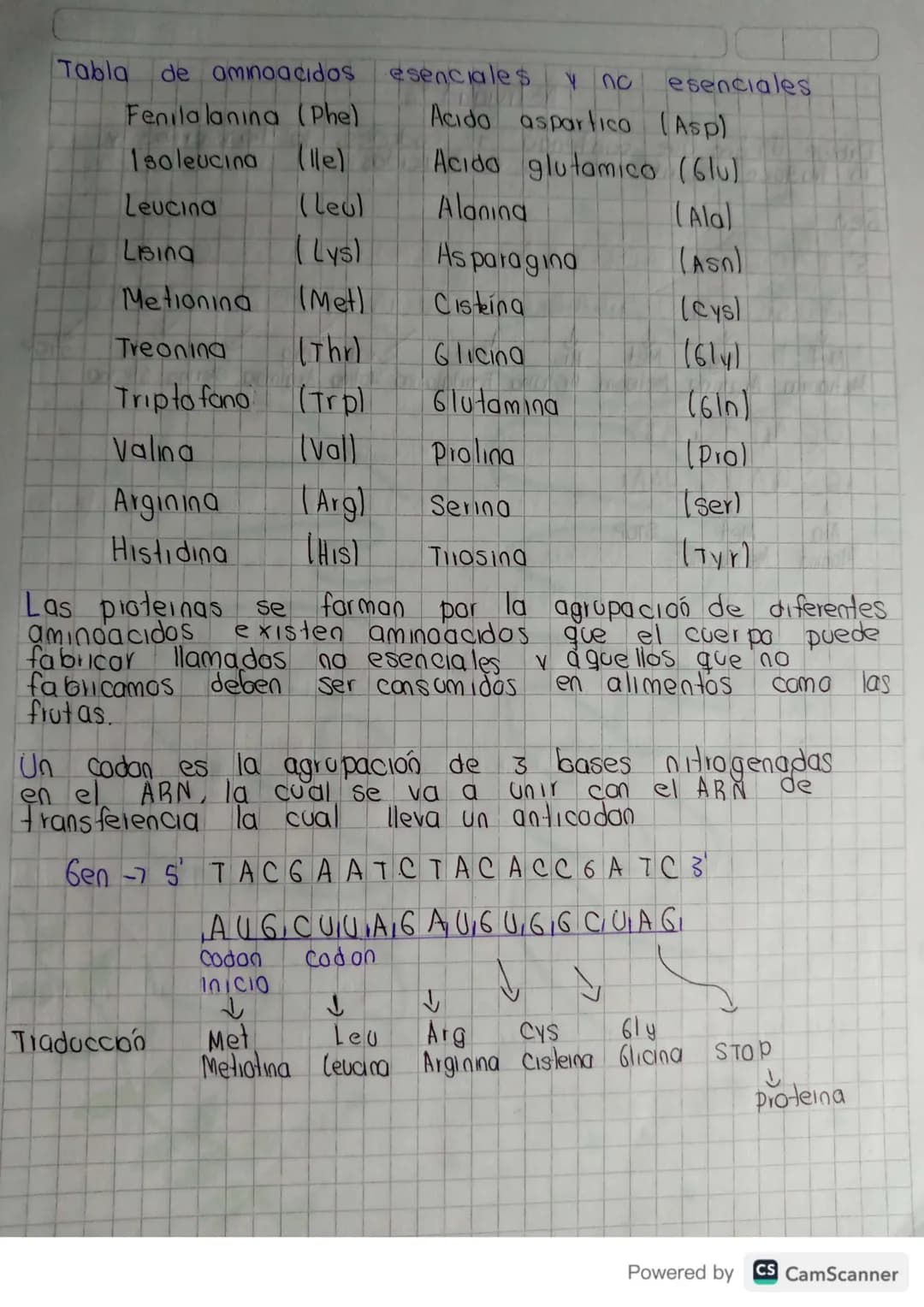 # TRANSCRIPCION DEL ADN
La transcripción del AND ocuire cuando dentro de un gen
especifico (fragmento de ADN) cuando se farma una
burbuja d