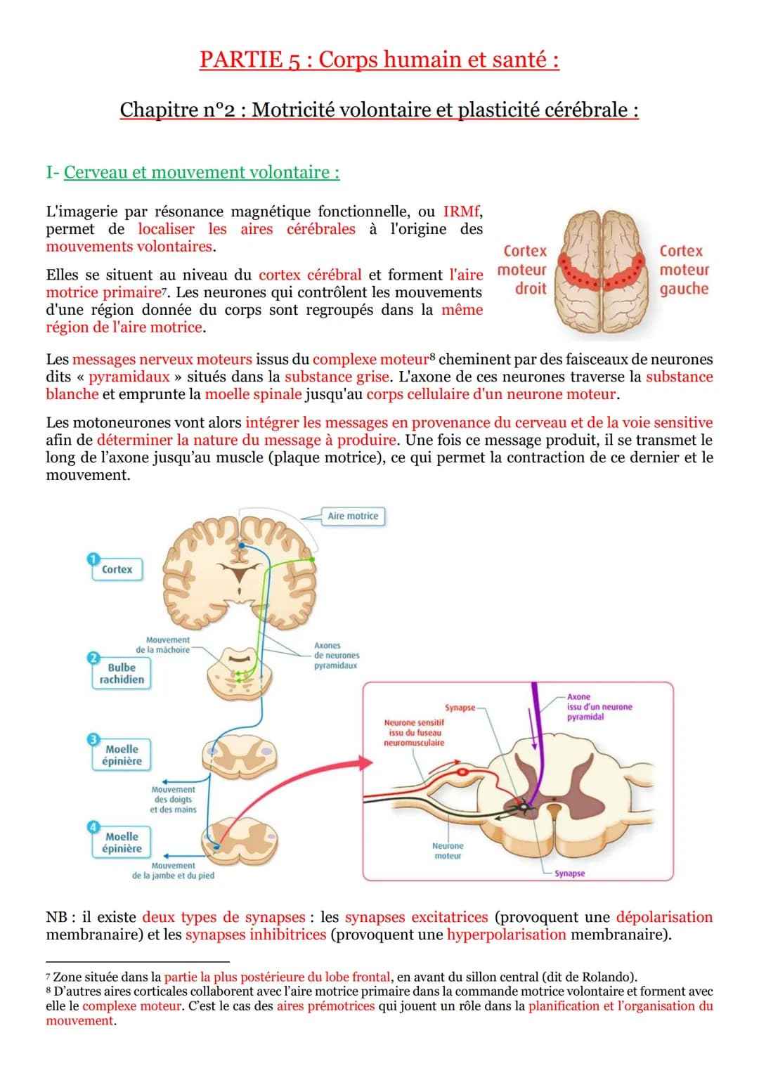 # PARTIE 5: Corps humain et santé :
## Chapitre n°1: Les réflexes :
I- Un arc reflexe, le circuit nerveux d'un réflexe myotatique :
Un ré