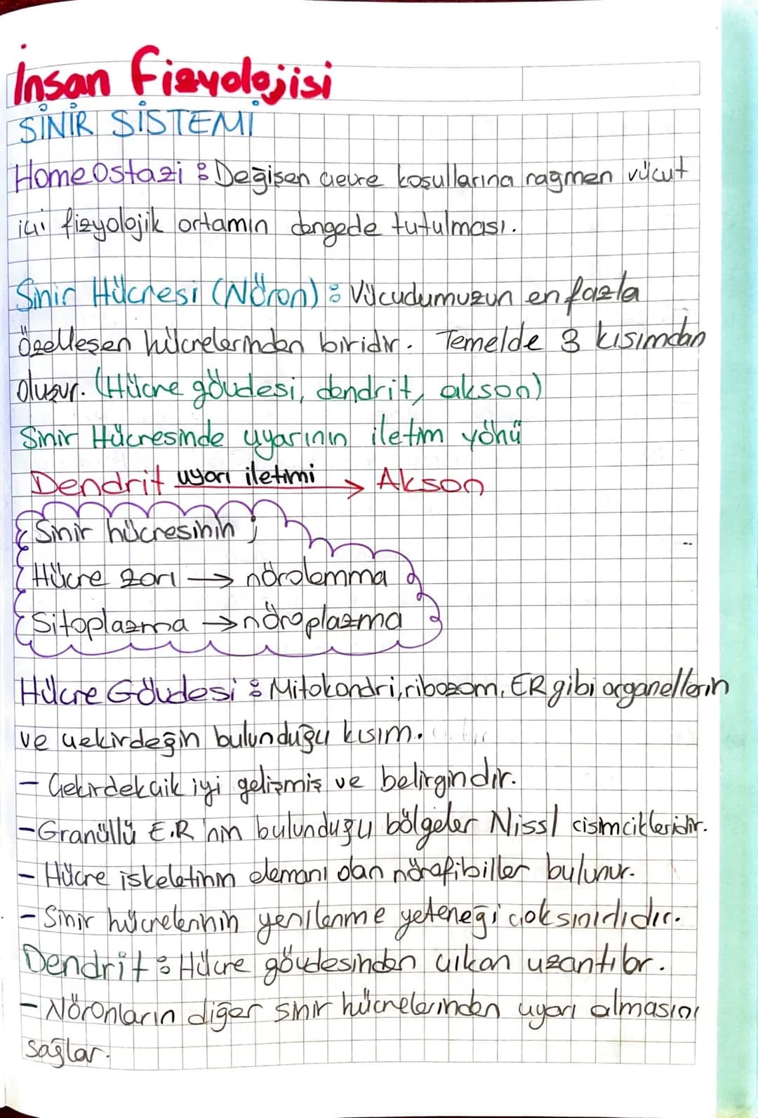 # Insan Fizyolojisi
SİNİR SİSTEMİ
Home Ostazi : Değişen creure koşullarına rağmen vücut
içi fizyolojik ortamın dengede tutulması.
Sinir Hücr