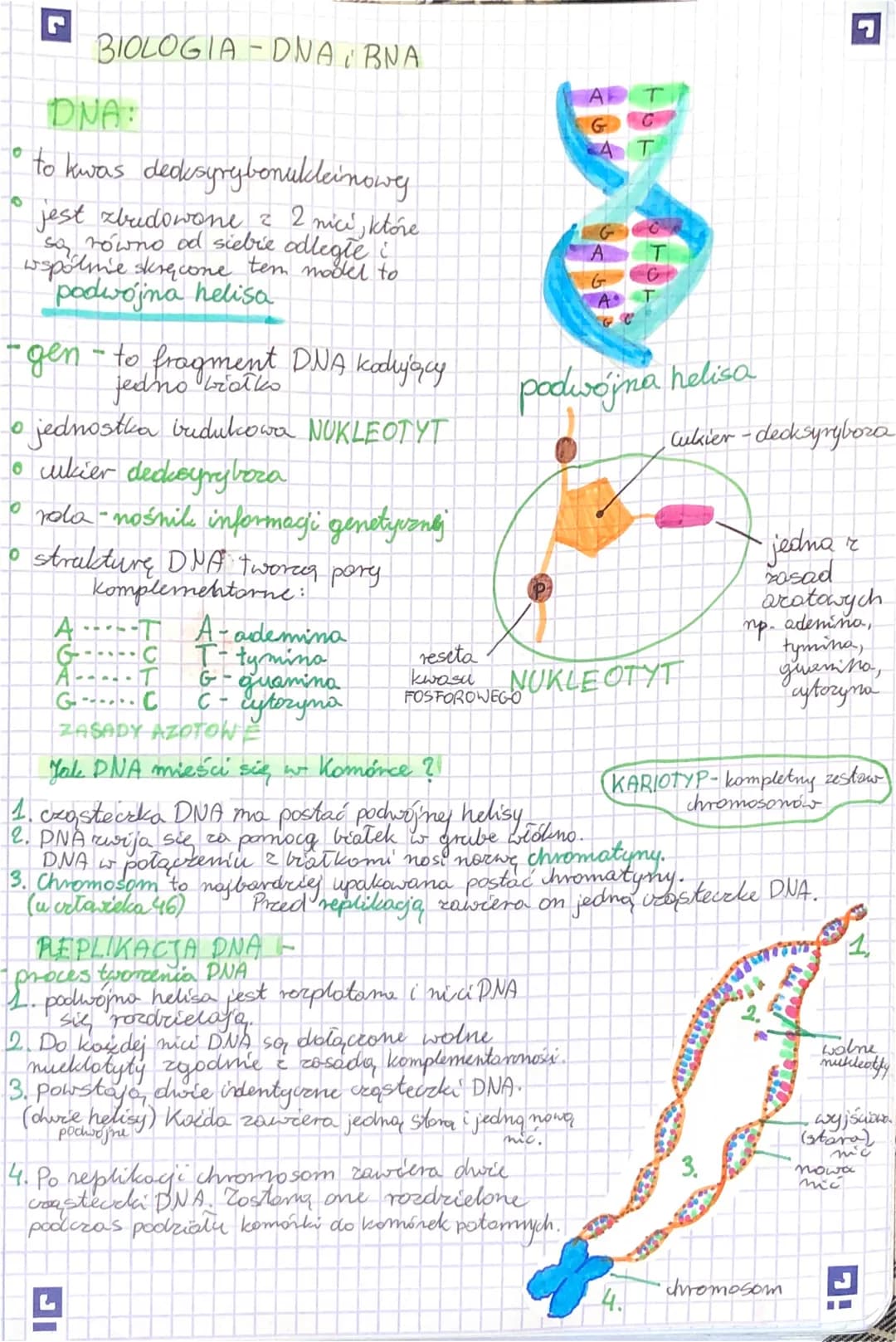 0
BIOLOGIA-DNA, BNA
DNA:
* to kwas deksyrybonukleinowy
* jest zbudowane z 2 nici, które
sa równo od siebie odległe i
wspólne sk