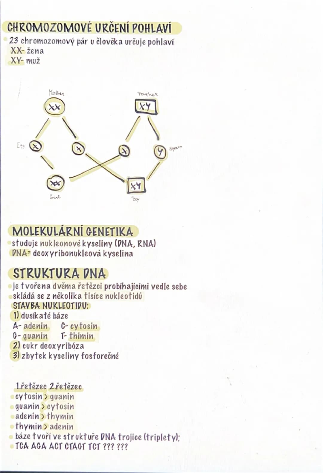# GENETIKA
⚫věda zabývající se dědičností
**DĚDIČNOST**
⚫schopnost předávat geny z rodičů na potomky
zakladatel genetiky:
Johan Gregor Mend