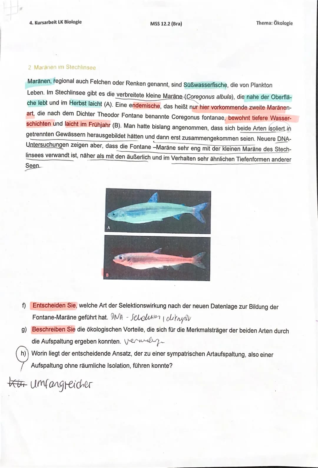 # 1 Mungos auf Jamaika
Auf seiner zweiten Reise entdeckte Christoph KOLUMBUS 1494 die karibische Insel Jamaika. Mit ihm
entdeckten auch ein