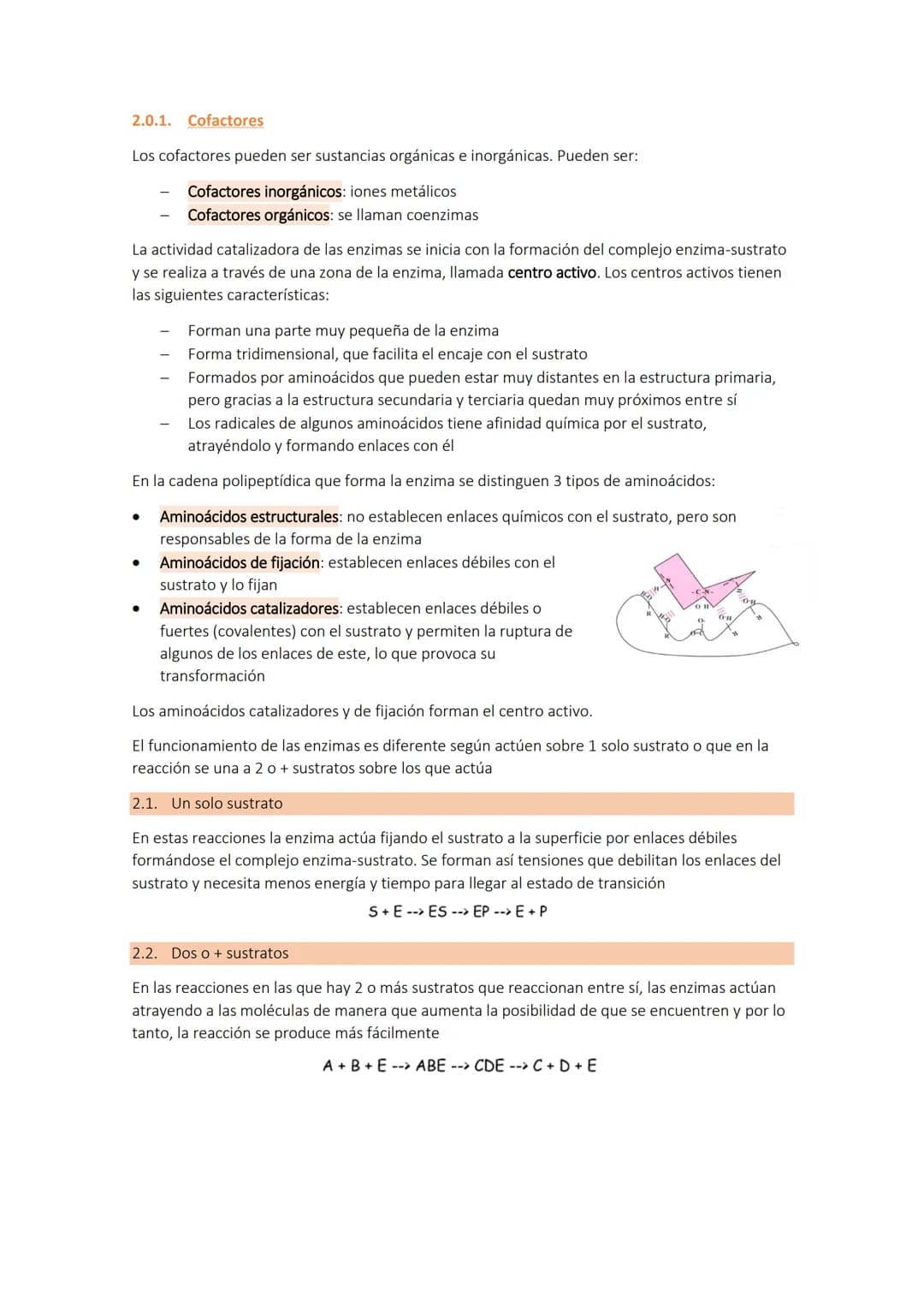 # Tema 4 b: LA ACTIVIDAD ENZIMÁTICA Y LA FUNCIÓN HORMONAL
Se llama metabolismo celular al conjunto de reacciones químicas que se producen e