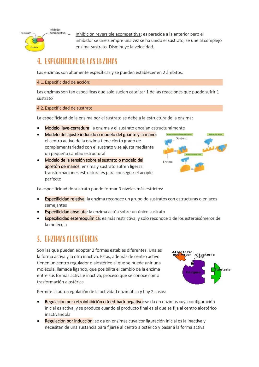# Tema 4 b: LA ACTIVIDAD ENZIMÁTICA Y LA FUNCIÓN HORMONAL
Se llama metabolismo celular al conjunto de reacciones químicas que se producen e
