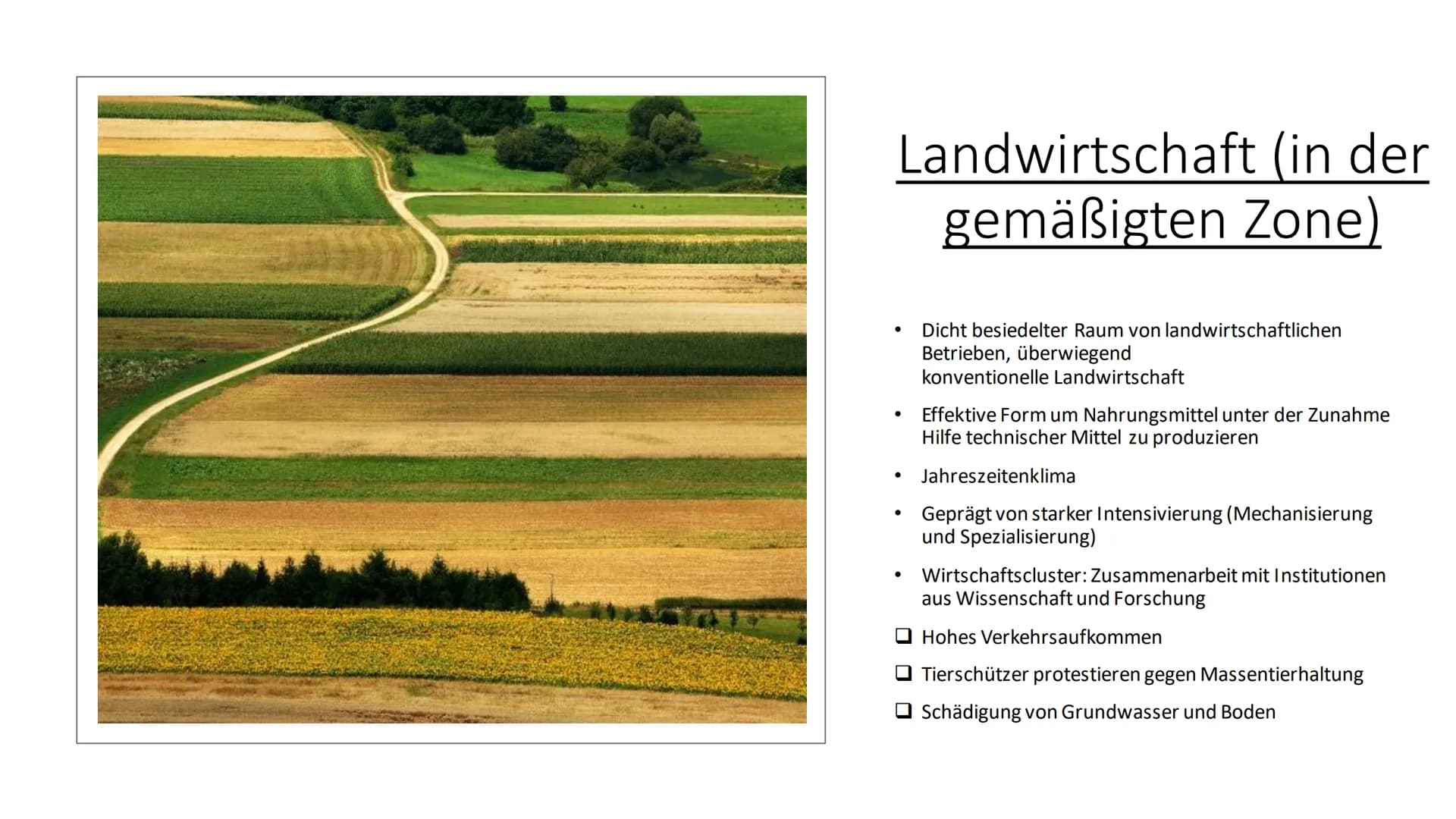 Landwirtschaft
Erdkunde-LK Inhaltsverzeichnis
• Fachbegriffe, Klimazonen
• Passende Lokalisierung
• Landwirtschaft (Tropen und gemäßigten Z