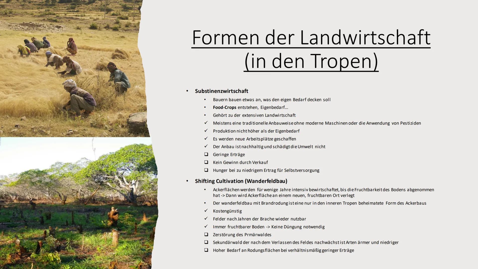 Landwirtschaft
Erdkunde-LK Inhaltsverzeichnis
• Fachbegriffe, Klimazonen
• Passende Lokalisierung
• Landwirtschaft (Tropen und gemäßigten Z
