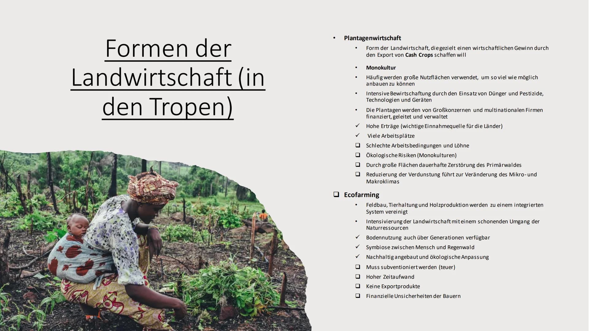 Landwirtschaft
Erdkunde-LK Inhaltsverzeichnis
• Fachbegriffe, Klimazonen
• Passende Lokalisierung
• Landwirtschaft (Tropen und gemäßigten Z