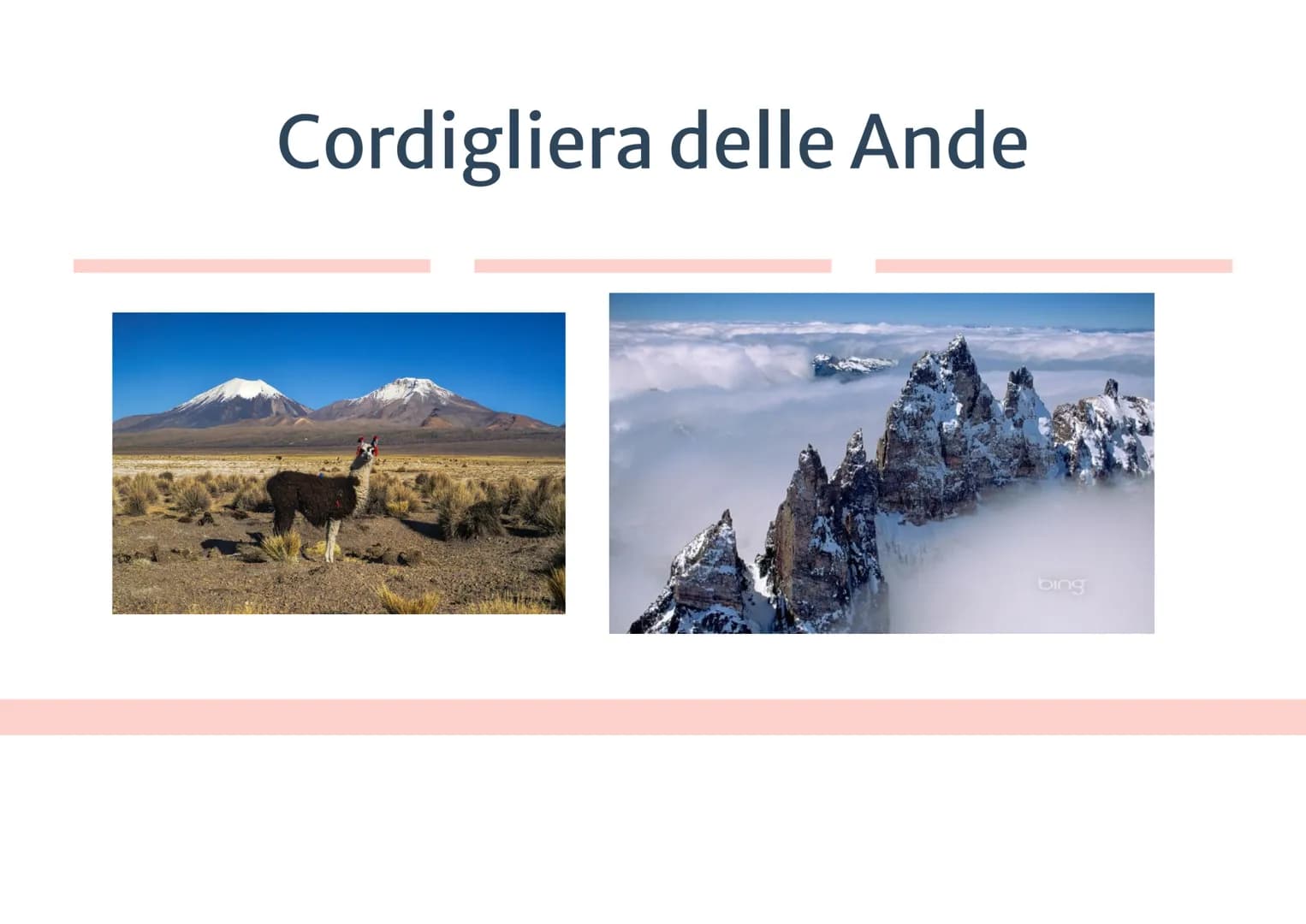 Le Americhe
• America del Nord Anglosassone
• America Centrale
Latina
• America del Sud
USA
CANADA
USA
PACIFIC
OCEAN
MEXICO
W
E
DELE
