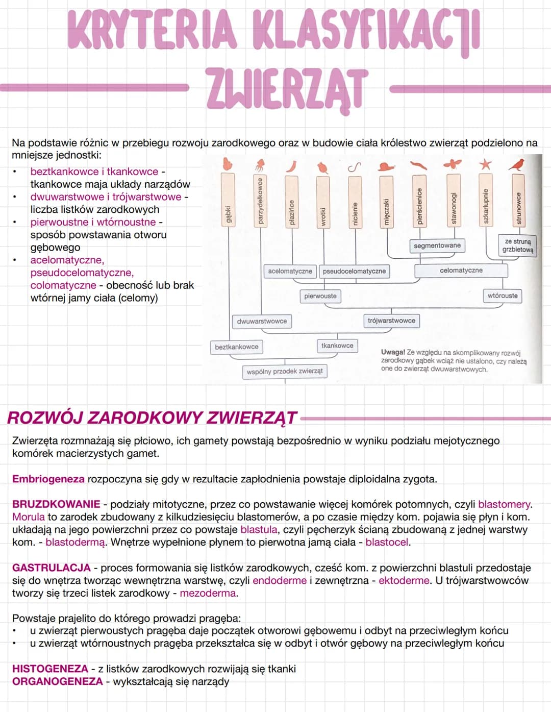 # KRYTERIA KLASYFIKACJI
# ZWIERZĄT
Na podstawie różnic w przebiegu rozwoju zarodkowego oraz w budowie ciała królestwo zwierząt podzielono