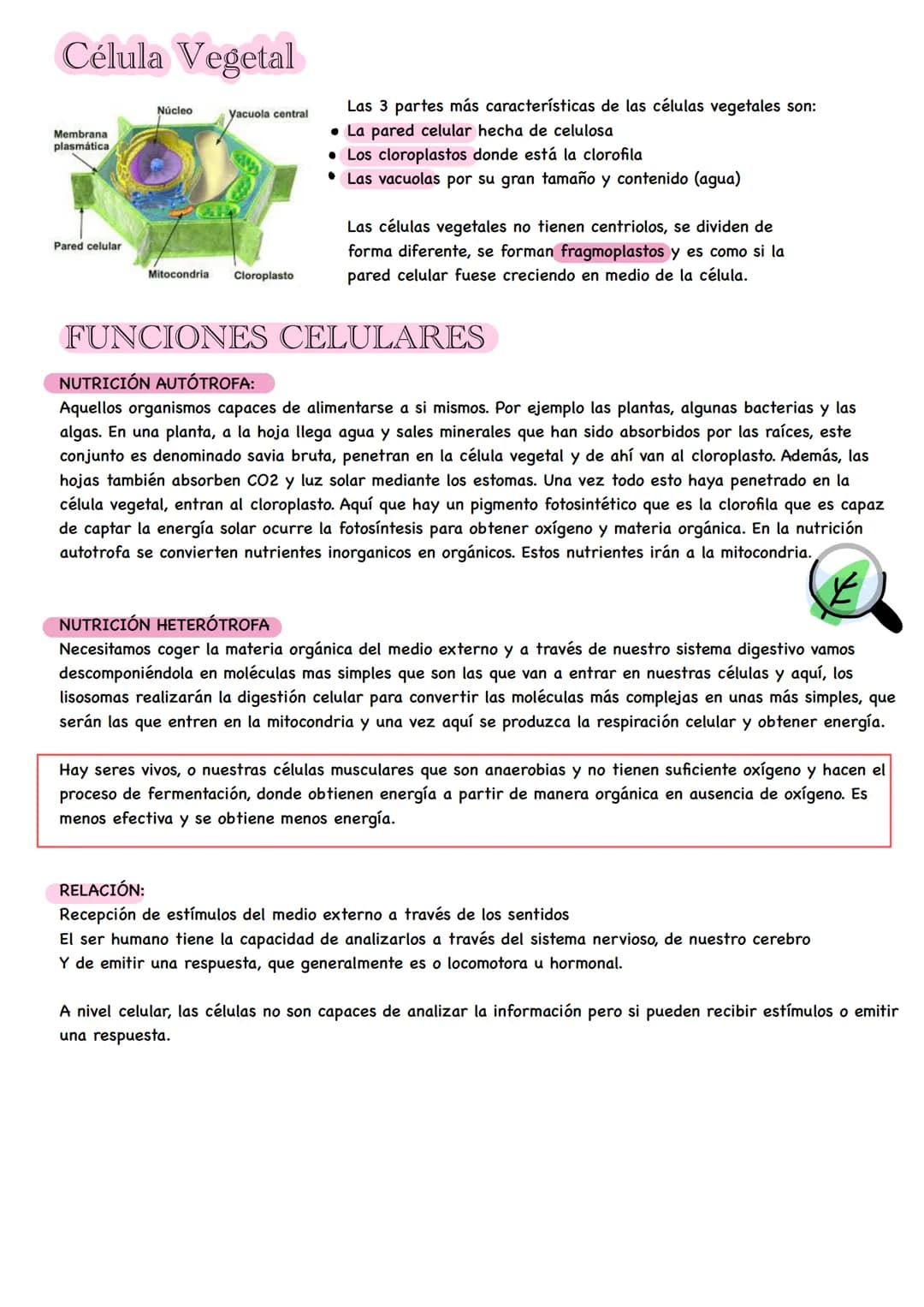 # Biología # LA CÉLULA
Una célula es la unidad básica estructural y funcional que constituye a todo ser vivo.
Las células son microscópicas