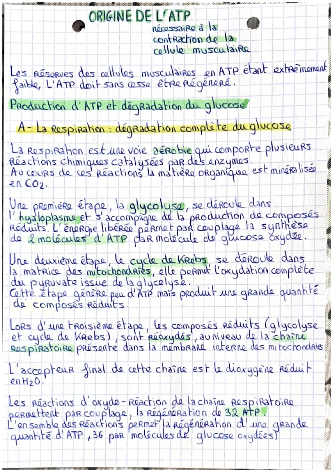 # ORIGINE DE L'ATP
nécessaire à la
contraction de la
cellule musculaire
Les Réserves des cellules musculaires en ATP étant extrêmement
faibl