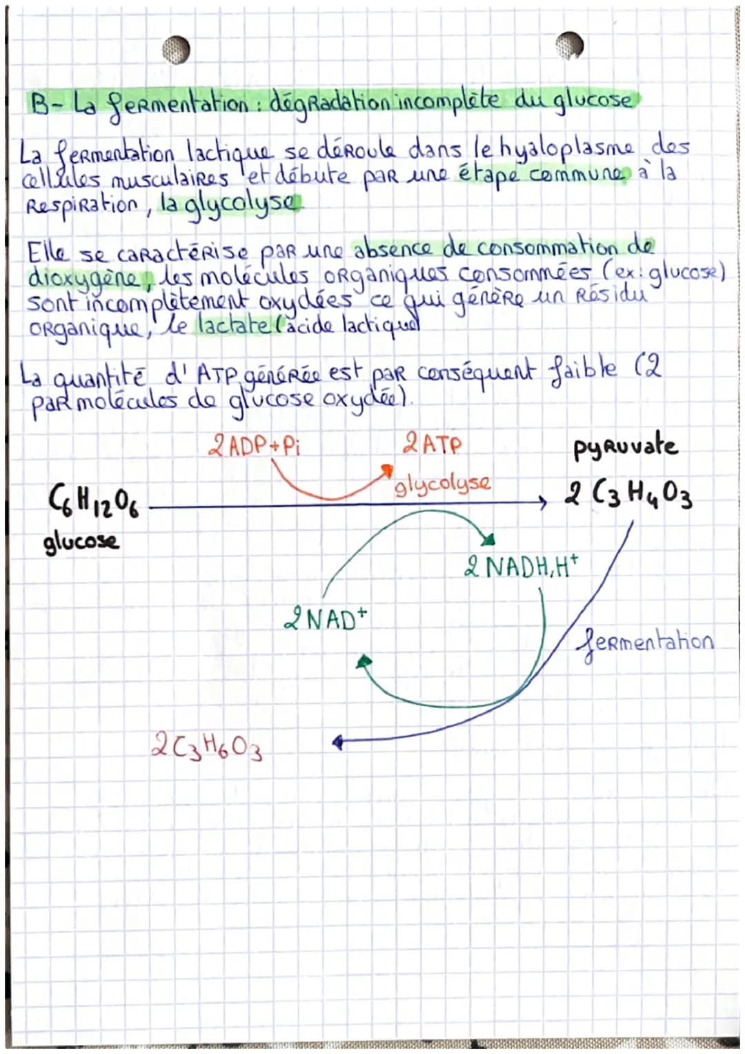 # ORIGINE DE L'ATP
nécessaire à la
contraction de la
cellule musculaire
Les Réserves des cellules musculaires en ATP étant extrêmement
faibl