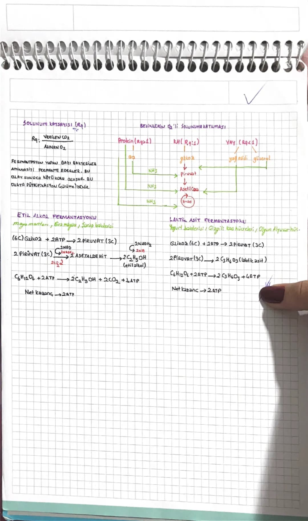 # SOLUNUM SOLUNUM TEPKİMELERI
O2'li SOLUNUM
Org. Ben+O2→ CO2 + H2O + NH3 + ATP
(N)
ETS ELEMANLARI KULLANIUR
La Prokaryotlarda Mezдовот