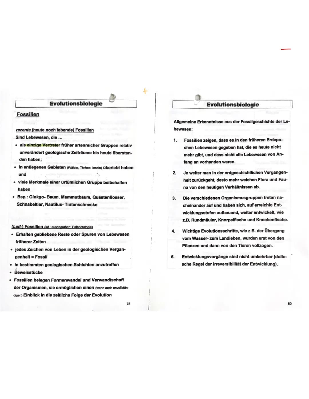 Evolutions theorie
sagt aus, dass die welt und die in inr lebenden wesen sich nicht statisen verhalten, sondern in stetiger
Veränderung begr