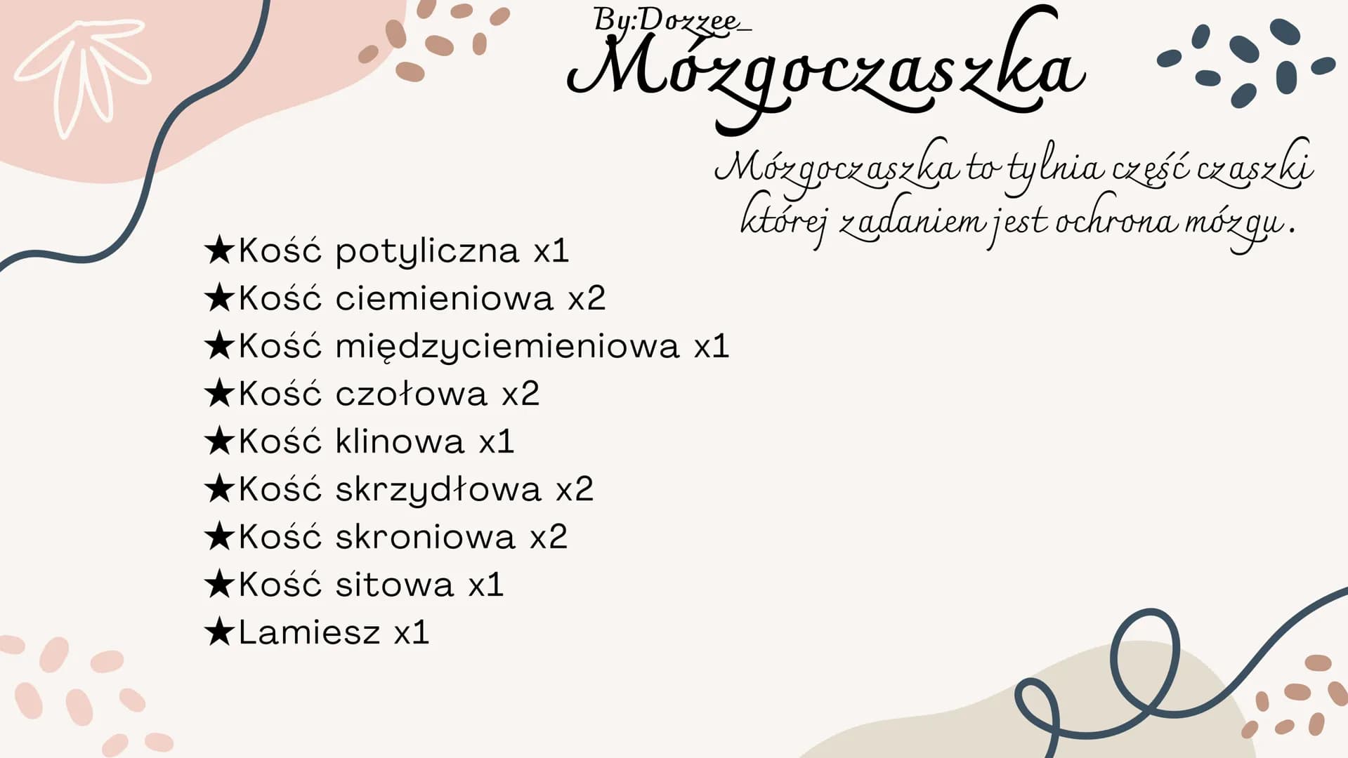 By:Doxzee
Czaszka By:Dozzee
# Spis treści
01 Budowa zewnętrzna
czaszki
02 mózgoczaszka
03 Twarzoczaszka
04 Kości pneumatyczne By:Dozze