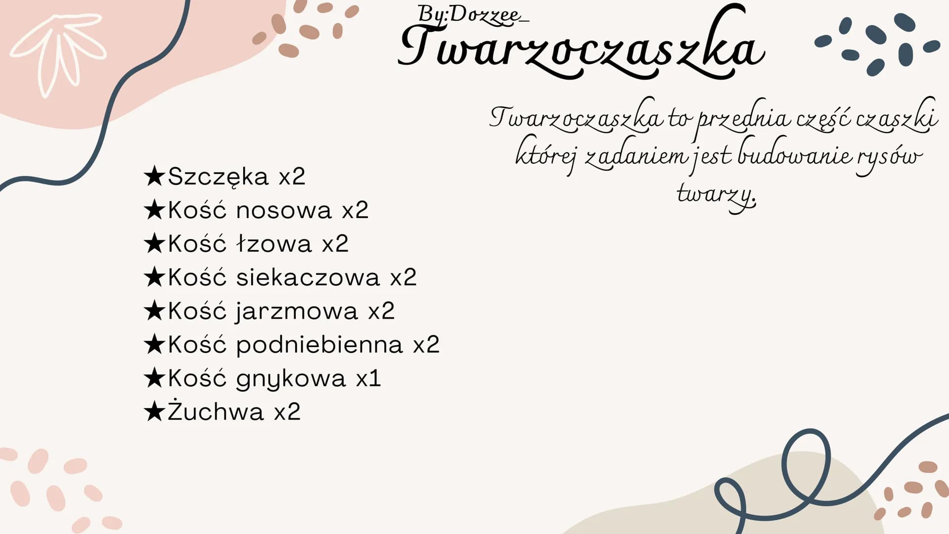 By:Doxzee
Czaszka By:Dozzee
# Spis treści
01 Budowa zewnętrzna
czaszki
02 mózgoczaszka
03 Twarzoczaszka
04 Kości pneumatyczne By:Dozze