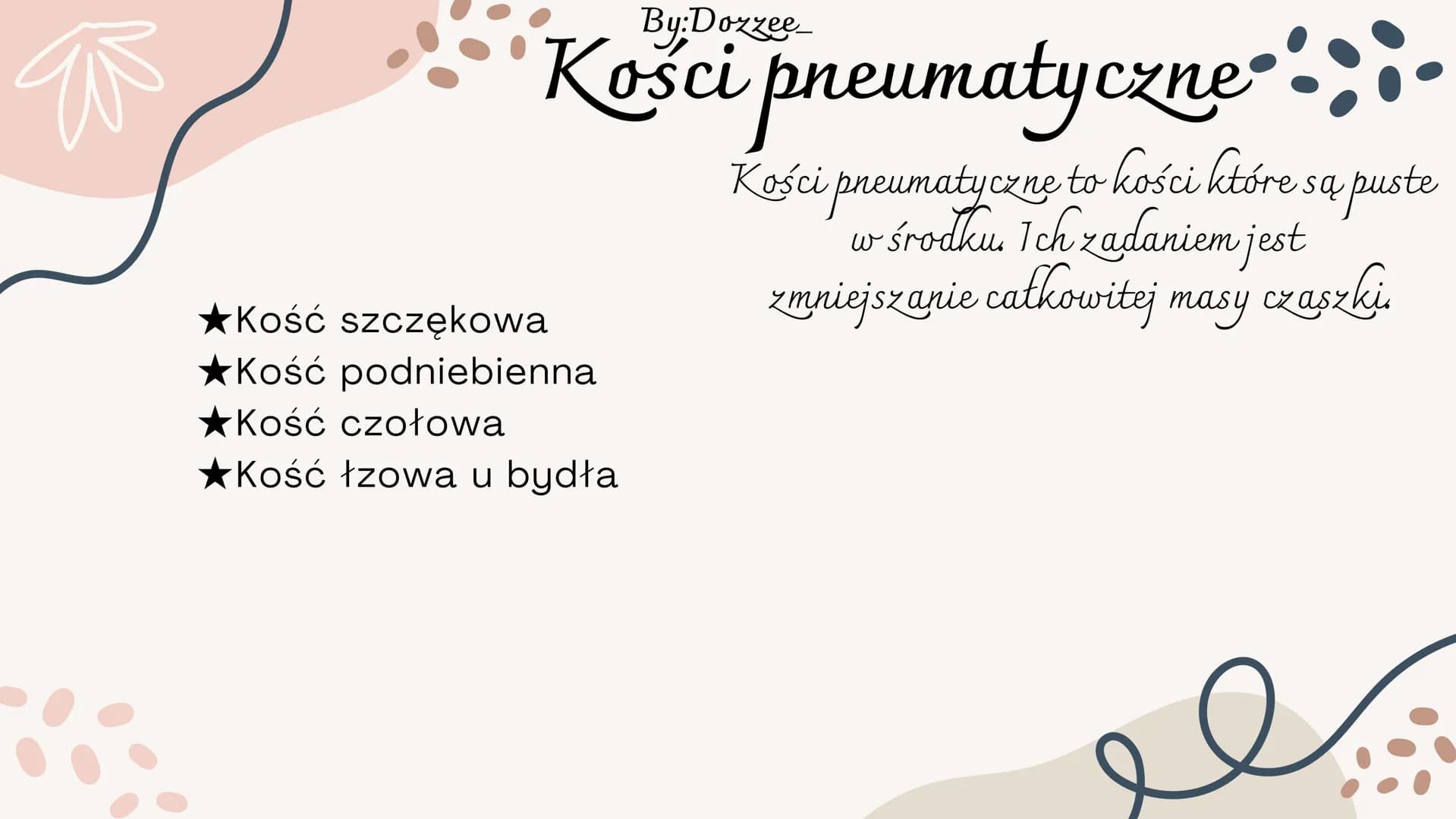 By:Doxzee
Czaszka By:Dozzee
# Spis treści
01 Budowa zewnętrzna
czaszki
02 mózgoczaszka
03 Twarzoczaszka
04 Kości pneumatyczne By:Dozze