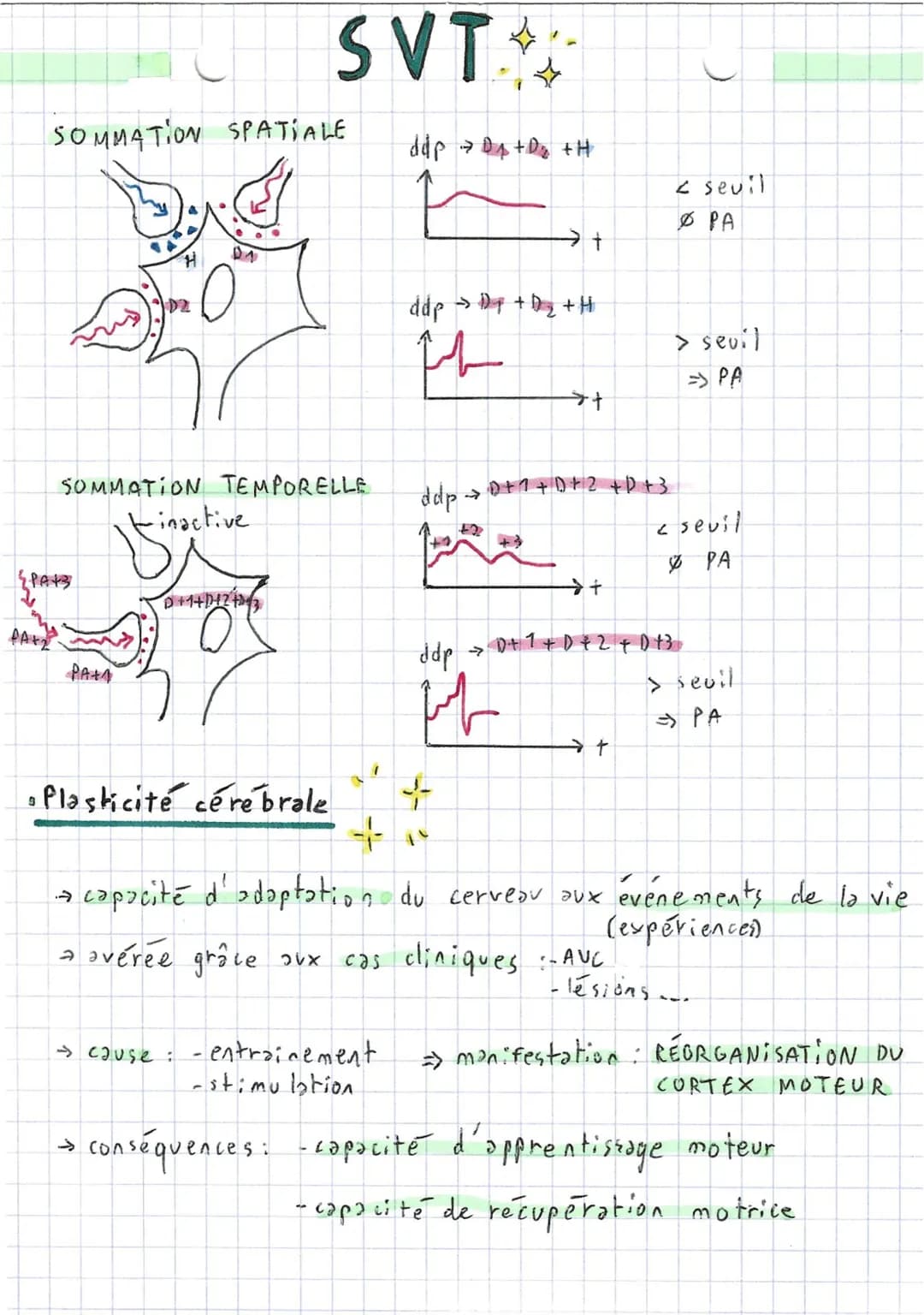 SVT
Comportements, mouvement
~ et système nerveux ~
→ 2 types de mouvements: - volontaire
- involon taire (réflexe)
• Réflexe
→ réflexes m