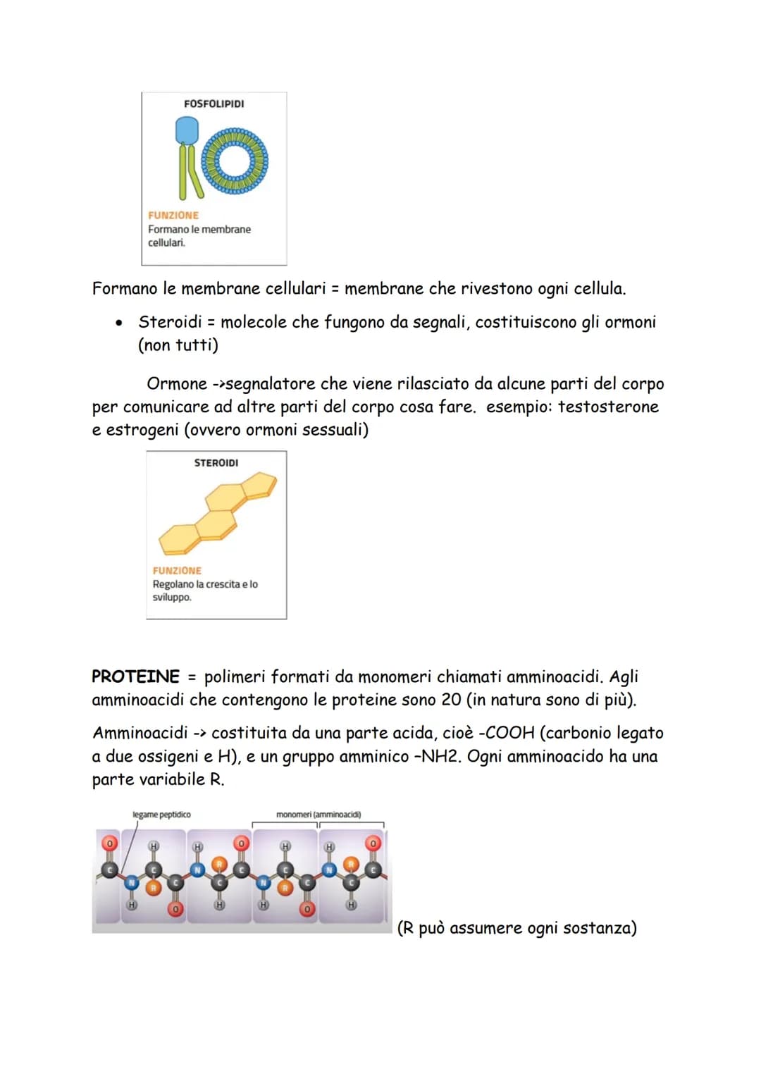 # BIOMOLECOLE
POLIMERI E MONOMERI
Biomolecole sono dei polimeri, ovvero formati da più monomeri (subunità).
I polimeri si formano dall'un