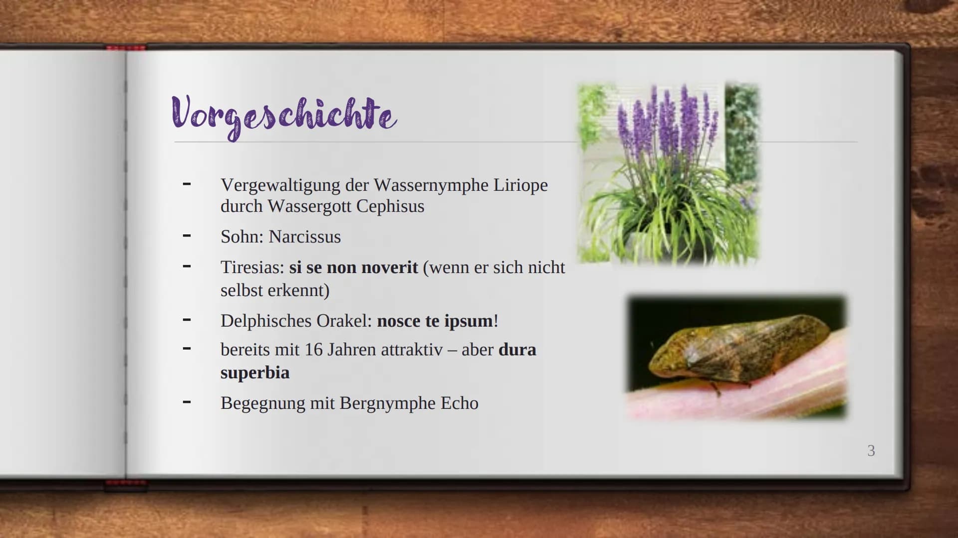 # NARCISSUS UND ECHO
- vier verschiedene / ähnliche Verwandlungen - # Gliederung
- Vorgeschichte
- Echo
- Junos Bestrafung und ihre Tücken
