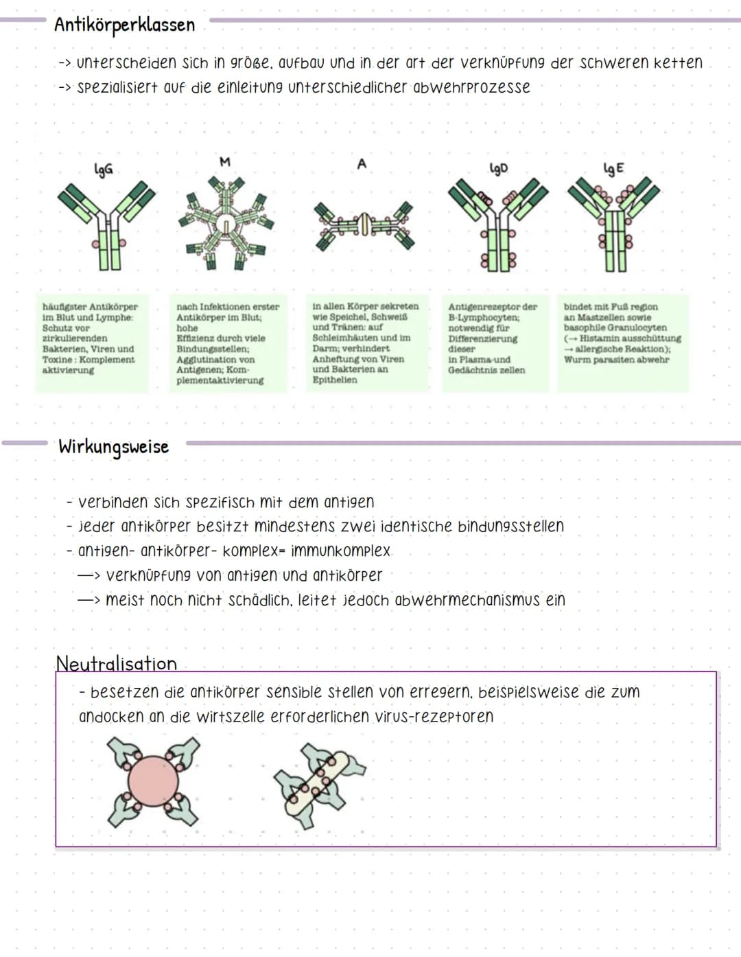 # Antikörper
-> werden von b-lymphozyten gebildet
=> werden plasmazellen gennant
-> antigene sind proteine- immunglobuline (ig)
-> es gi