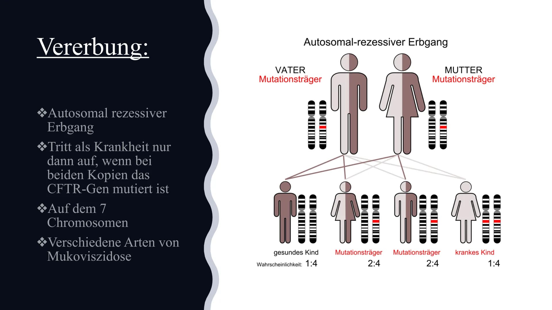 # Mukoviszidose
Von Celine und Nisa Gliederung:
◆Definition
◆Symptome
◆Ursachen
Krankheitsbild
◆Vererbung
◆Lebenserwartung/Vorkommen
◆Die
