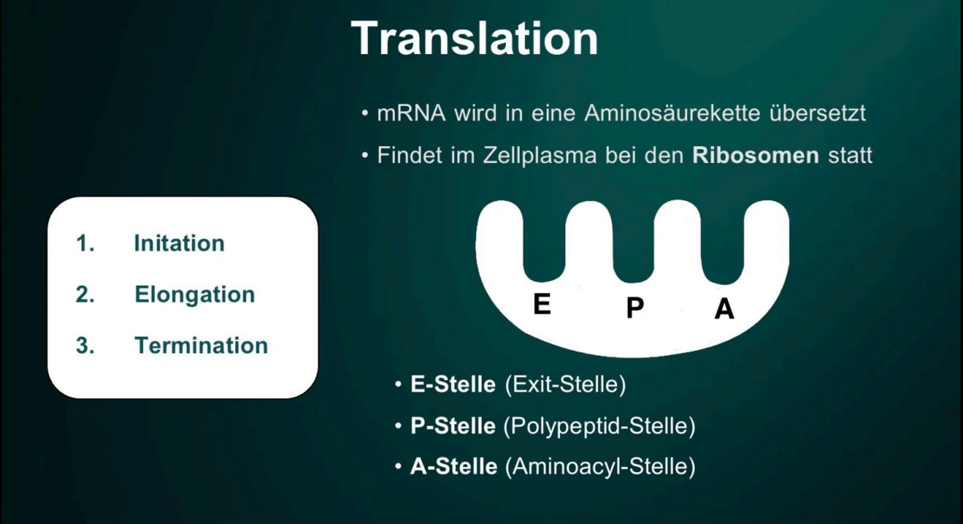 # Proteinbiosynthese
Die Geburt eines Proteins # Inhalt
• Proteinbiosnythese - Definition
• DNA
• Transkription
- Initation
- Elon