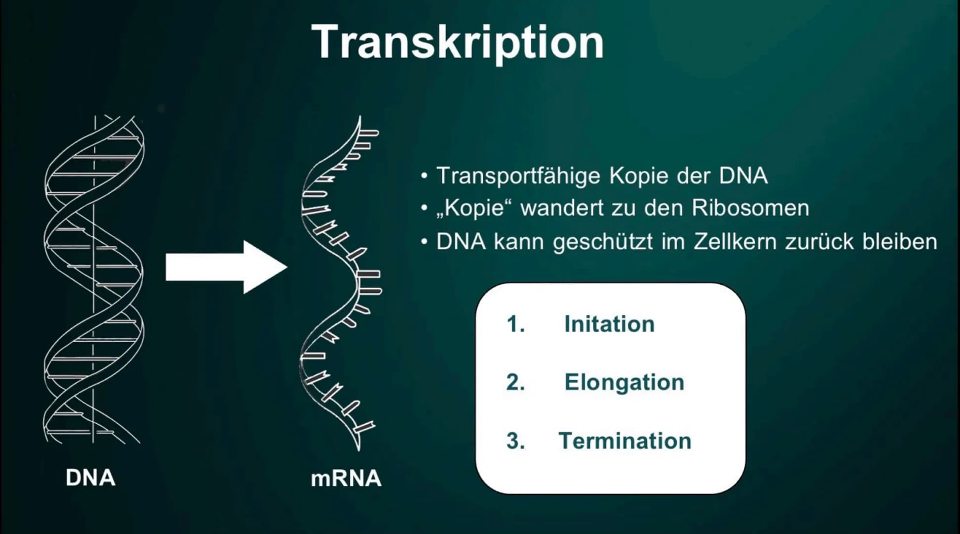 # Proteinbiosynthese
Die Geburt eines Proteins # Inhalt
• Proteinbiosnythese - Definition
• DNA
• Transkription
- Initation
- Elon