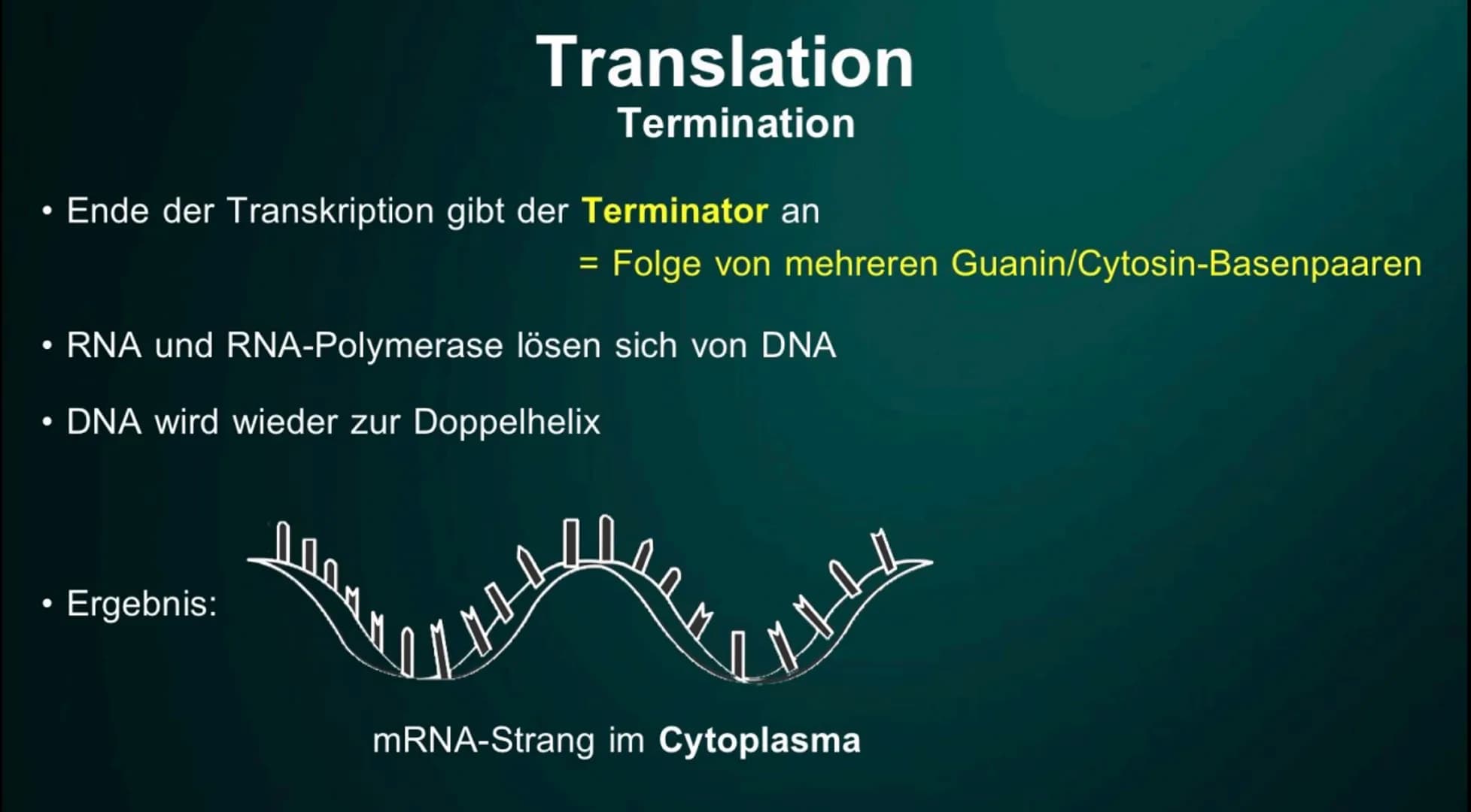 # Proteinbiosynthese
Die Geburt eines Proteins # Inhalt
• Proteinbiosnythese - Definition
• DNA
• Transkription
- Initation
- Elon
