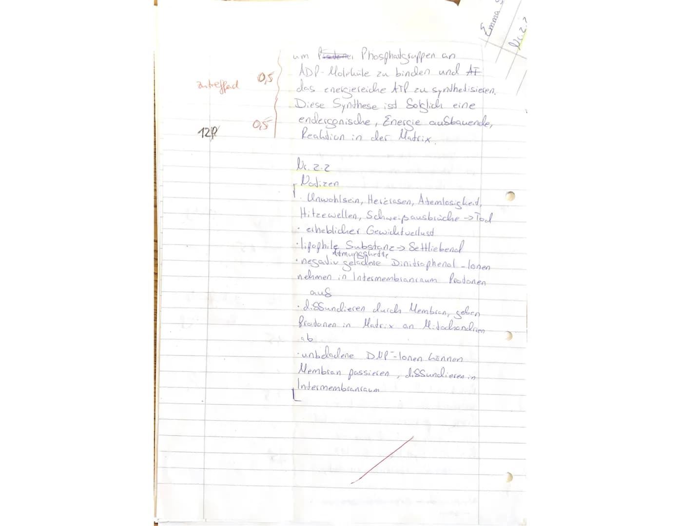Biologieklausur Stoffwechselphysiologie
gA QP1
2stündig
03.12.21
Btm
NAME:
Emma Sclubmacher
1
Lesen Sie sich zuerst die Aufgaben in Ruhe dur