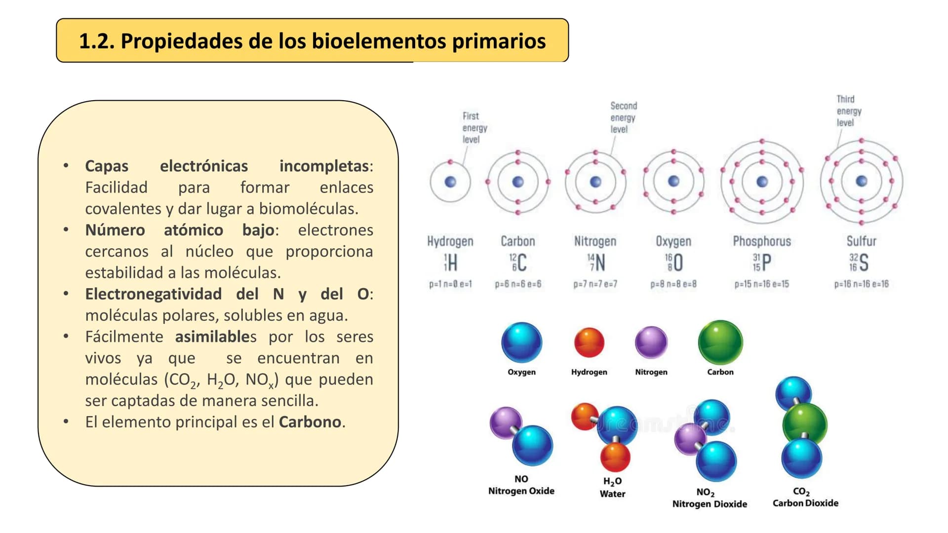 # UD 1. LA BASE
## QUÍMICA DE LA VIDA
Biología 2º Bachillerato
Marta Gómez Vera # Actividades iniciales
* ¿Cuáles son los niveles de org