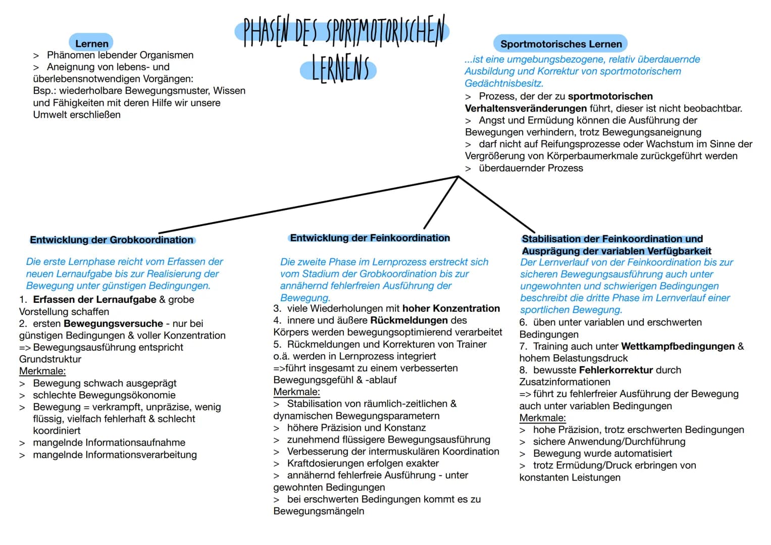 # BEWEGUNGSLEHRE
Psychologische
Betrachtungsweise
* Psychische Einflussfaktoren
* ->Bewegungswahrnehmung;
Emotionen
* Anhand von