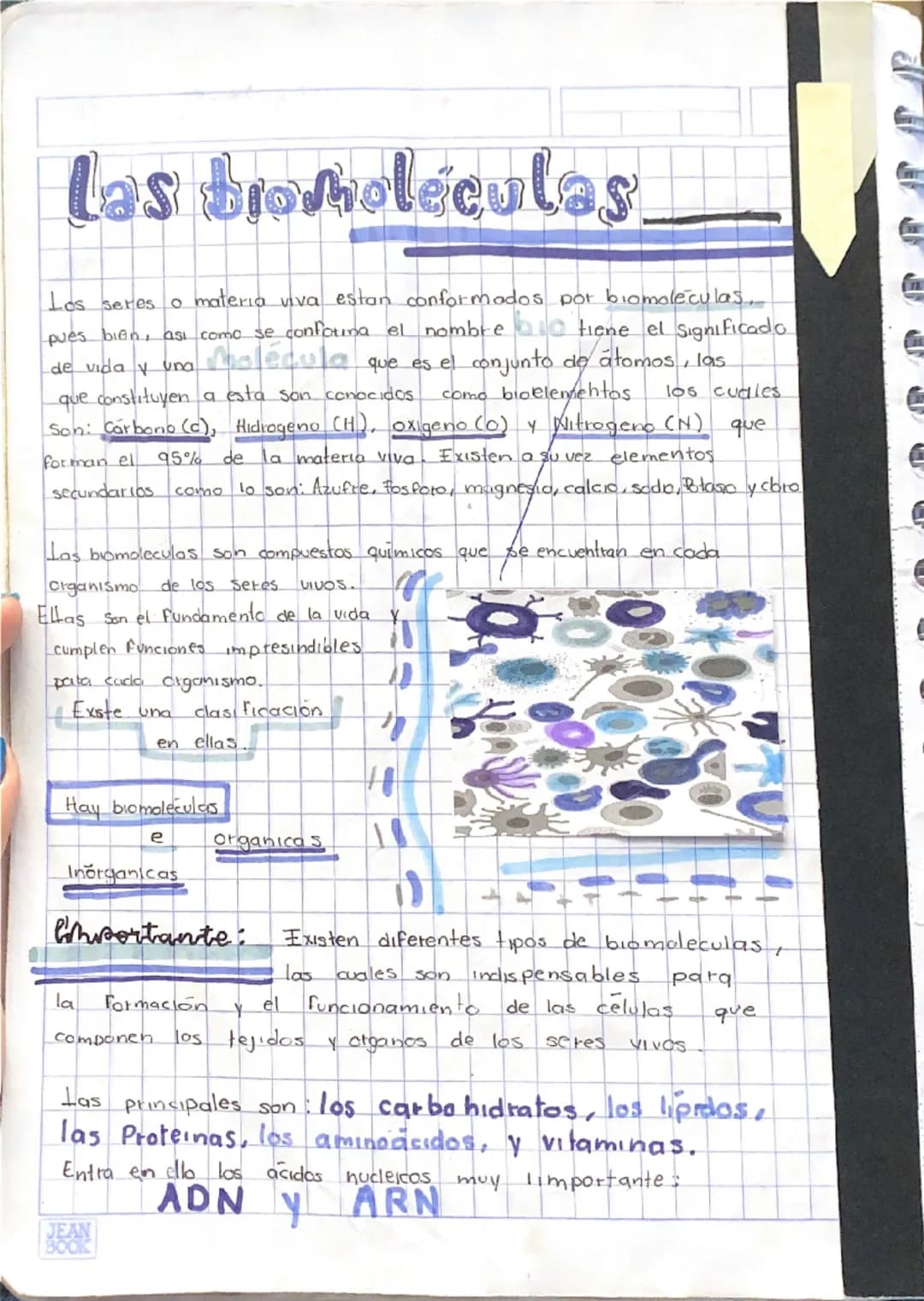 # Las bromoléculas
Los seres o materia viva estan conformados por biomoleculas..
pues biên, asi como se confotima el nombre tiene el signif