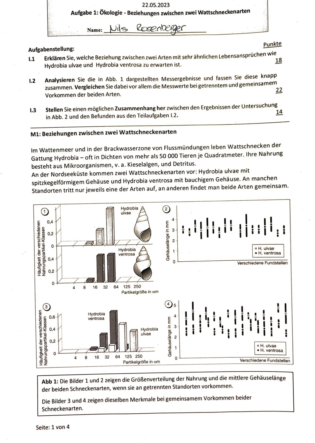 22.05.2023
Aufgabe 1: Ökologie - Beziehungen zwischen zwei Wattschneckenarten
Name: Nils Rosenberger
Aufgabenstellung:
| |