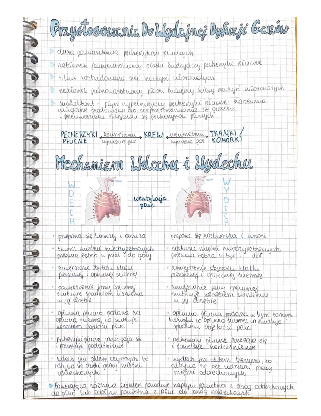 # Układ Oddechowy
* addychanie to proces metaboliczny
* aldychove Hemeve energia (40% ATP, 60% ciepio)
Układ oddechowy człowieka
Jama