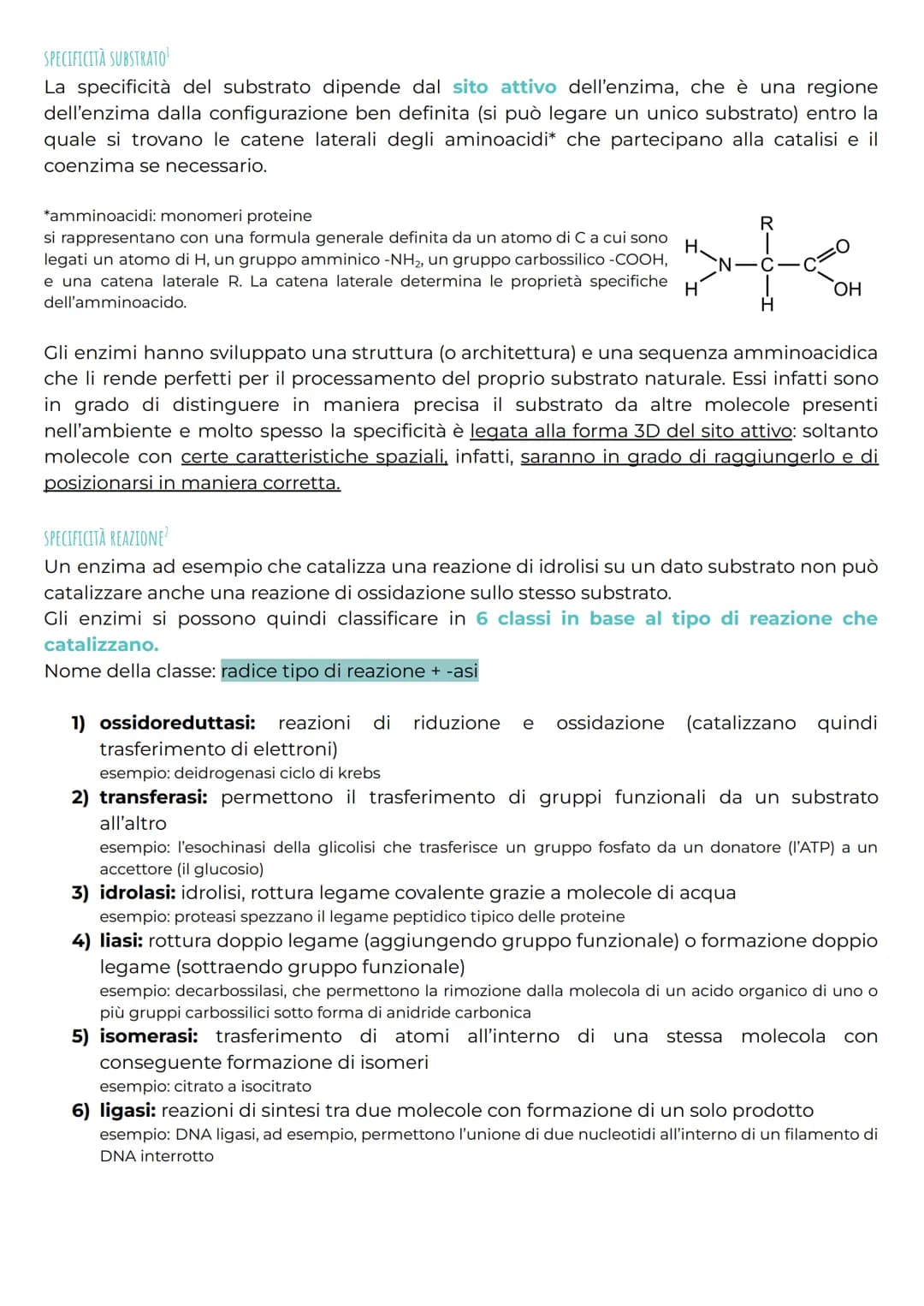 # CHE COSA SONO?
gli enzimi
Gli enzimi sono una classe di proteine altamente specializzate e importanti nel
metabolismo cellulare per la l