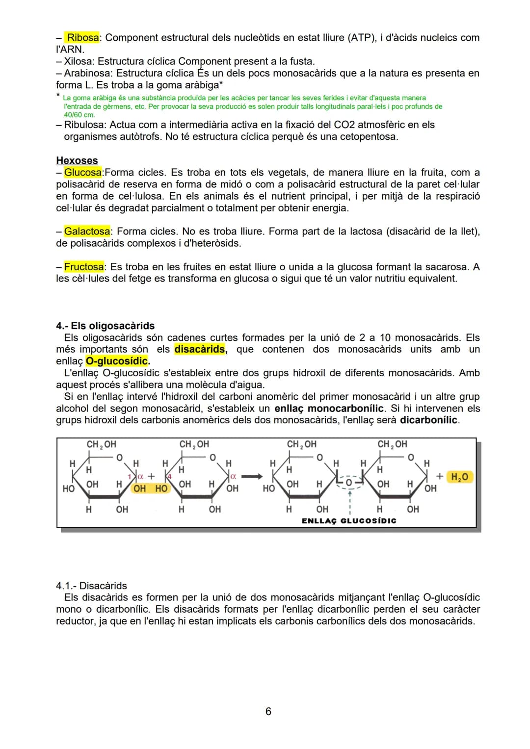 # BLOC A: LES BIOMOLECULES
# UNITAT 3.- ELS GLÚCIDS
Sabers bàsics
- Característiques químiques, isomeries, enllaços
- Funcions dels monosa