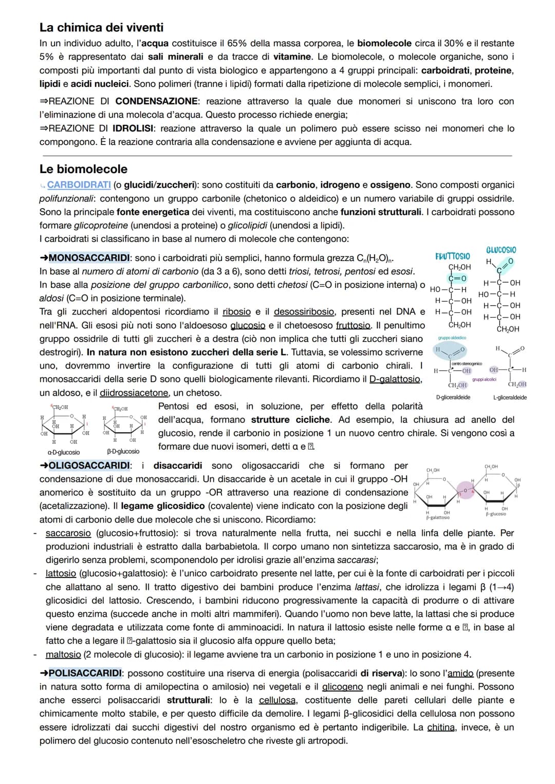 # La chimica dei viventi
In un individuo adulto, l'acqua costituisce il 65% della massa corporea, le biomolecole circa il 30% e il restante