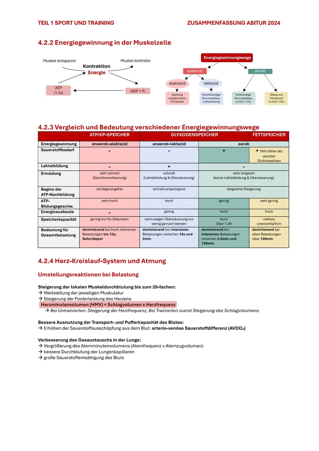 TEIL 1 SPORT UND TRAINING
ZUSAMMENFASSUNG ABITUR 2024
# 4. AUSDAUER
Im Sport und auch allgemein versteht man unter Ausdauer die physische