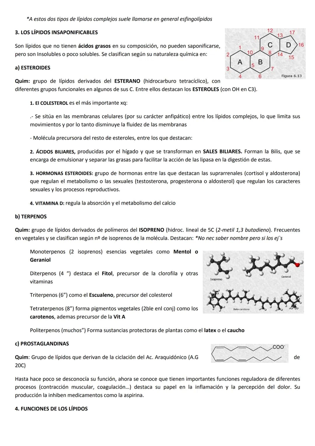 # TEMA 3: LÍPIDOS
1. CARACTERÍSTICAS GENERALES Y CLASIFICACIÓN
Los Lípidos, son un amplio grupo de moléculas orgánicas, químicamente muy h