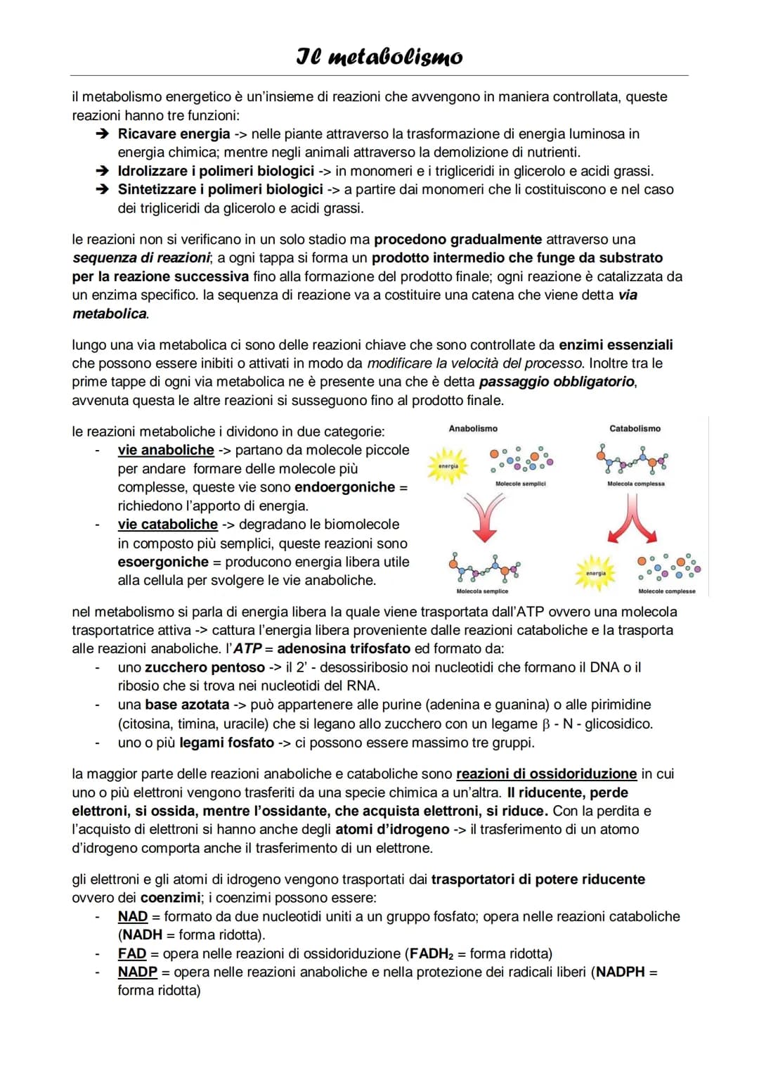 # Il metabolismo
il metabolismo energetico è un'insieme di reazioni che avvengono in maniera controllata, queste
reazioni hanno tre funzion