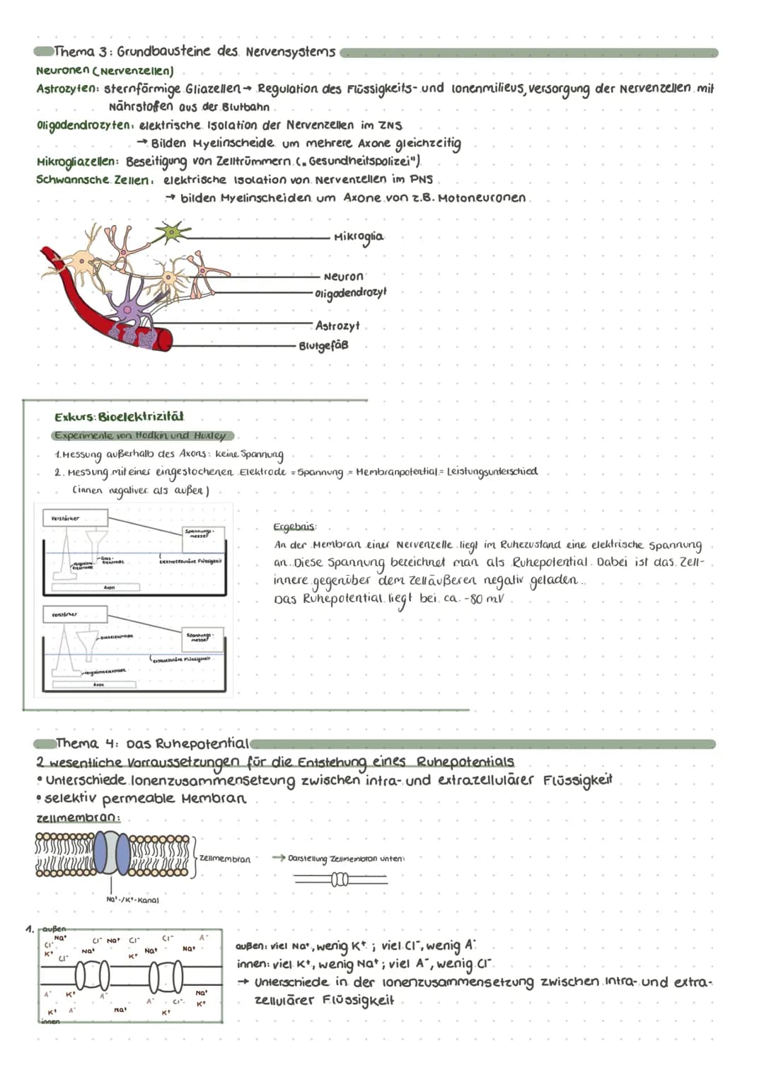 # neurobiologie
Dendrit.
Zerkem
Ilkörper
Soma)
Axonnügel
Thema 1: Neurone-Zellbestandteile und inre Funktion
Schwannsche ranvierscher
Zell