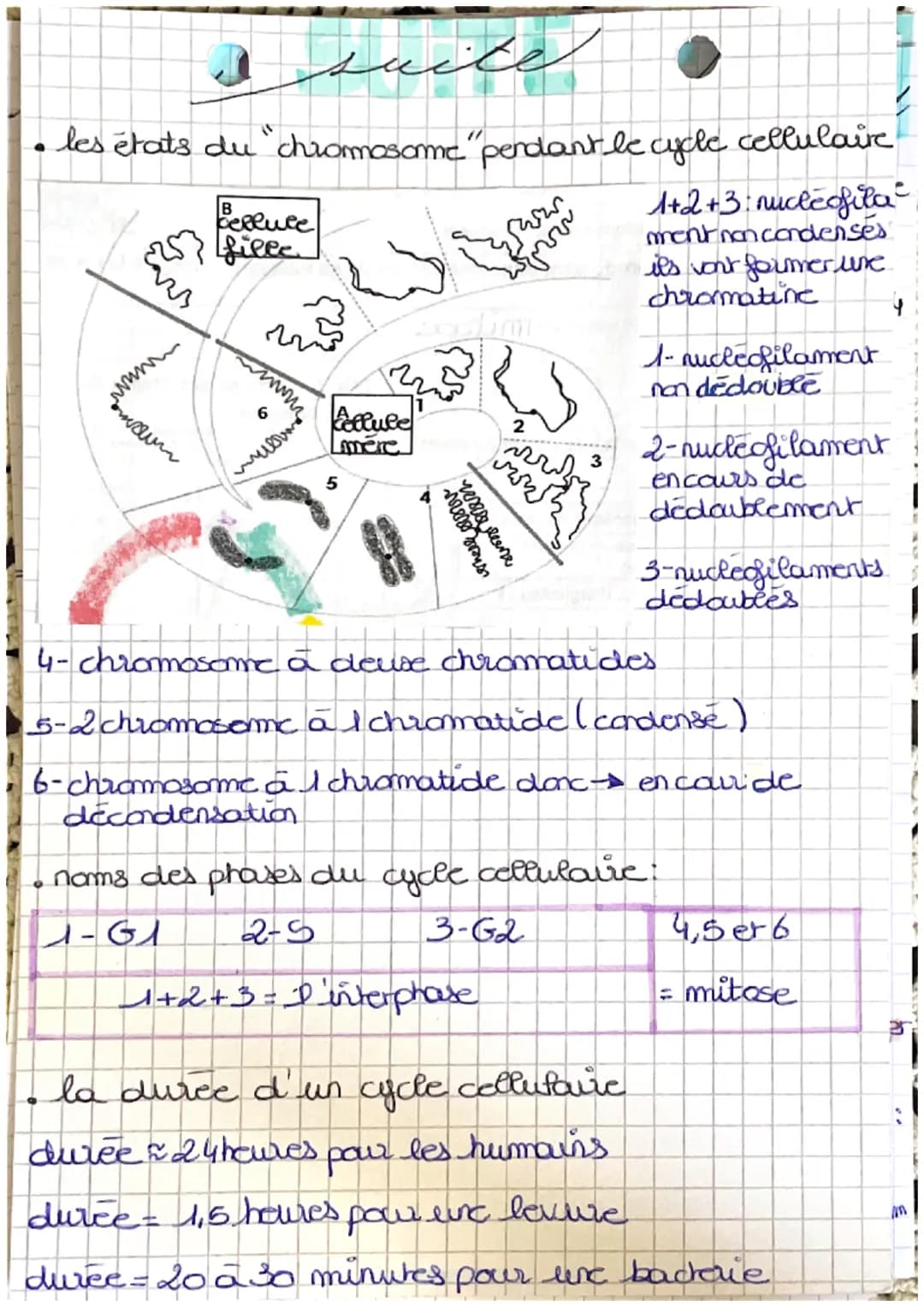 # piologica
Cellule et information génétique : 1
- localisation de la cellule dans le nayau
- rature du matériel génétique: 46 molécules d