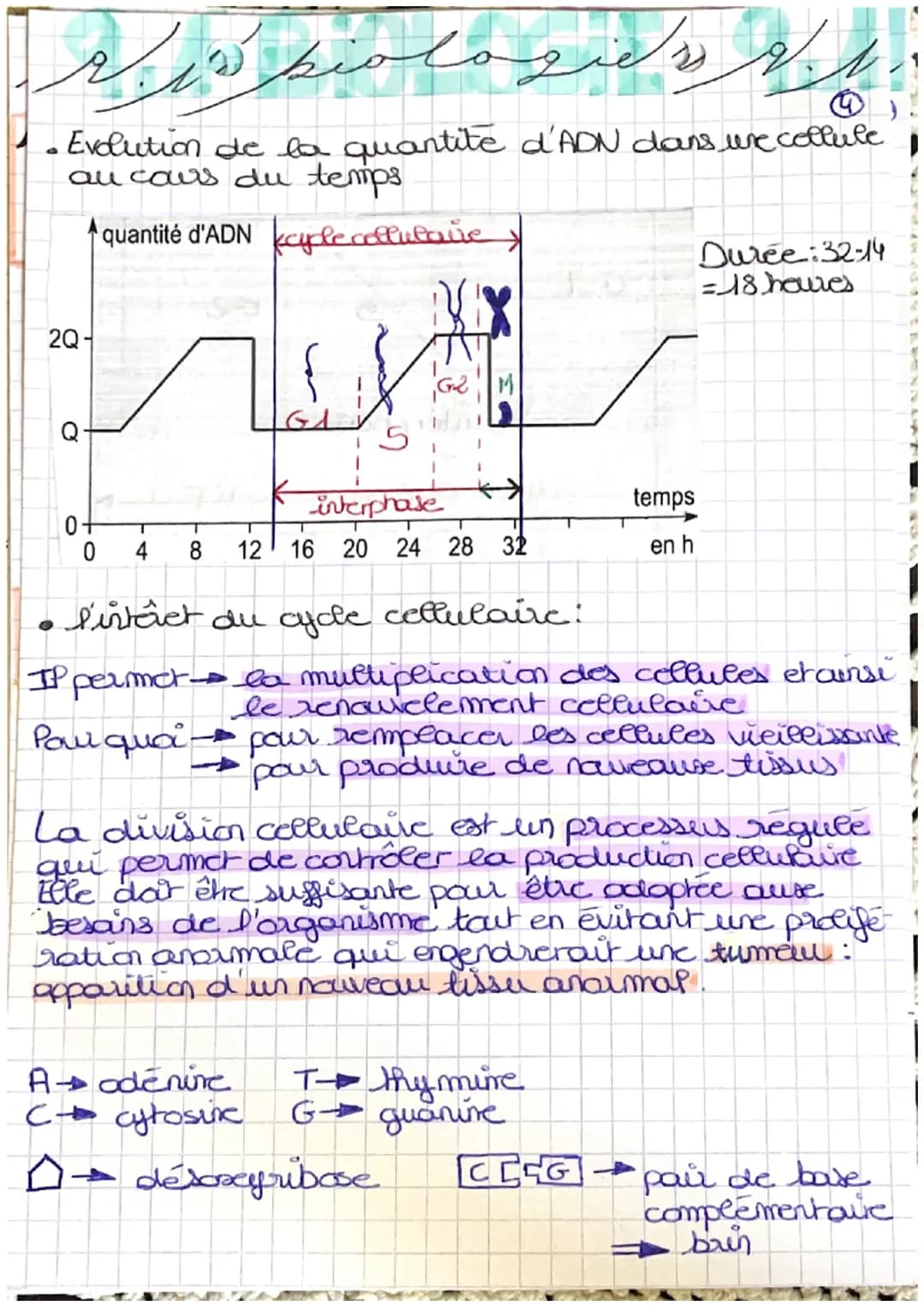 # piologica
Cellule et information génétique : 1
- localisation de la cellule dans le nayau
- rature du matériel génétique: 46 molécules d