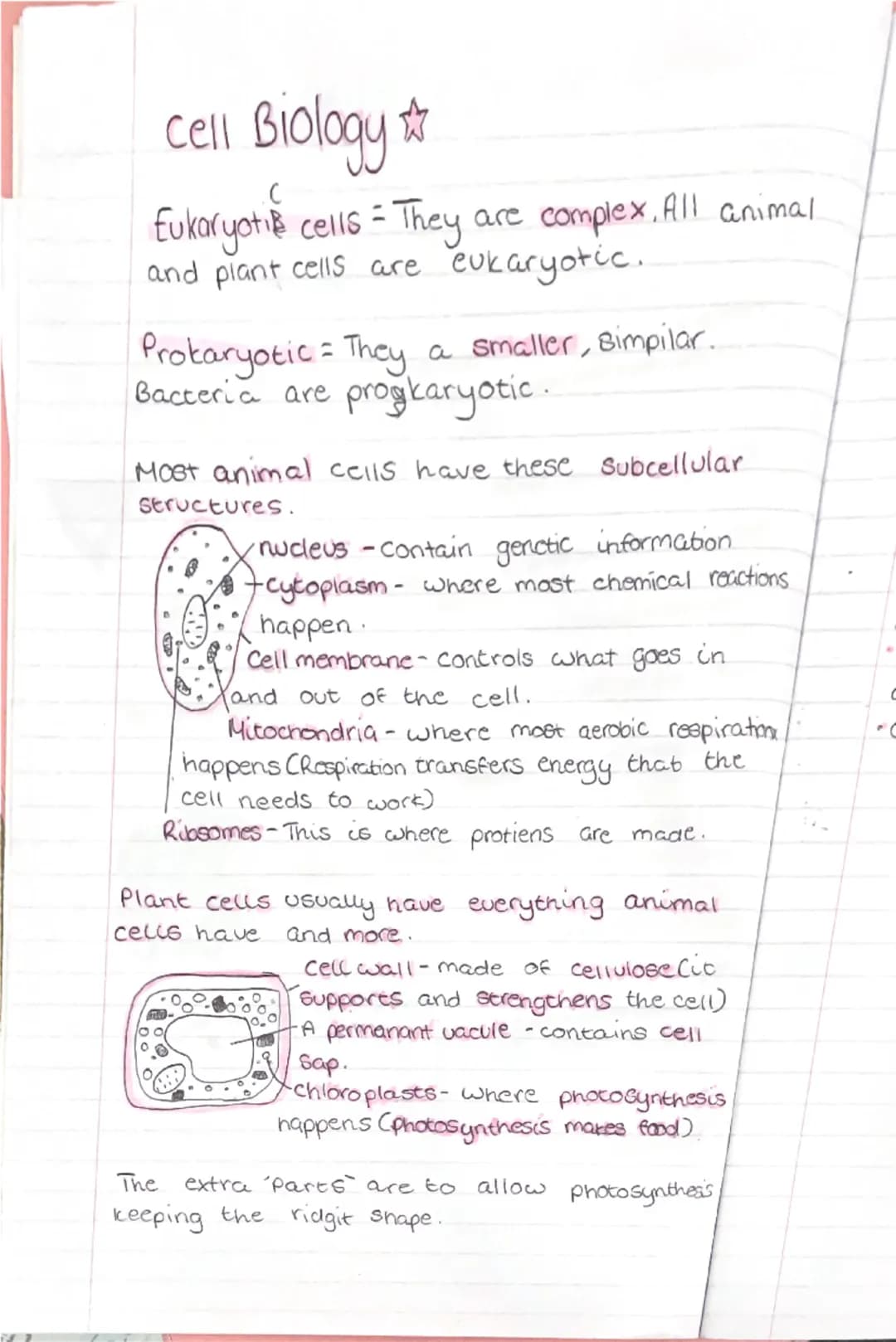 # cell Biology ☆
Eukaryotic cells - They are complex. All animal and plant cells are eukaryotic.
Prokaryotic - They a smaller, Bimpilar.