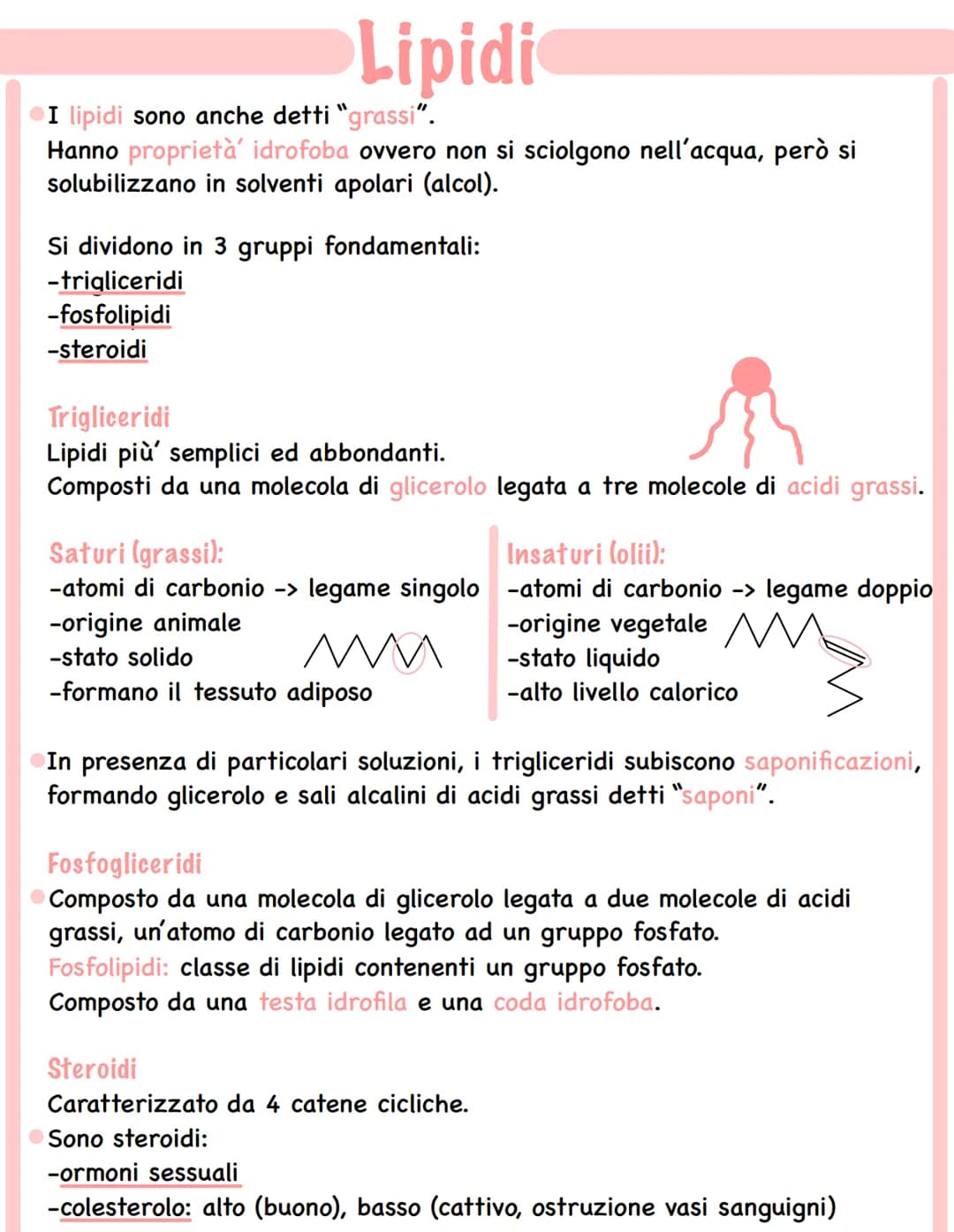 # Lipidi
• I lipidi sono anche detti "grassi".
Hanno proprietà' idrofoba ovvero non si sciolgono nell'acqua, però si
solubilizzano in solve