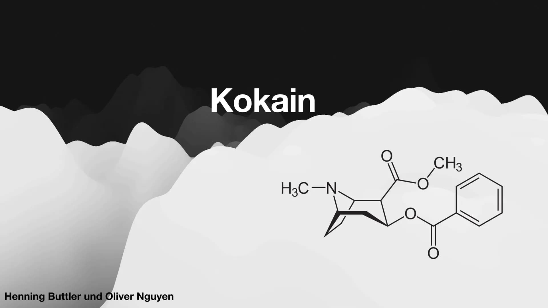 # Kokain
$H_3C-N$
$CH_3$
Henning Buttler und Oliver Nguyen # Inhaltsverzeichnis
Fakten über Kokain
Wirkung auf das Nervensystem
Rausch
