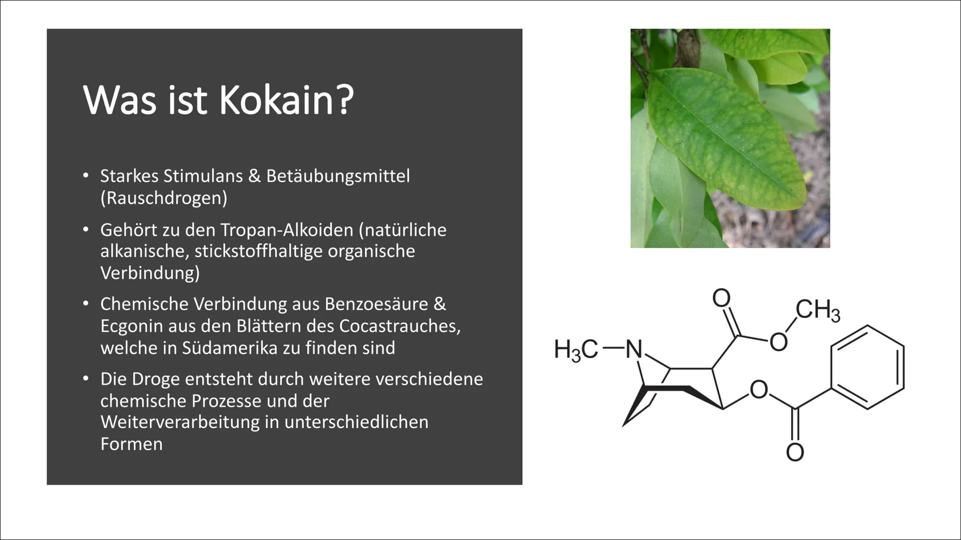 # Was Kokain mit
uns macht
Von Stacie Alozie Inhaltsverzeichnis
criminal death
powder narcotic
packet cook spoon
crystal
risk
dependence c