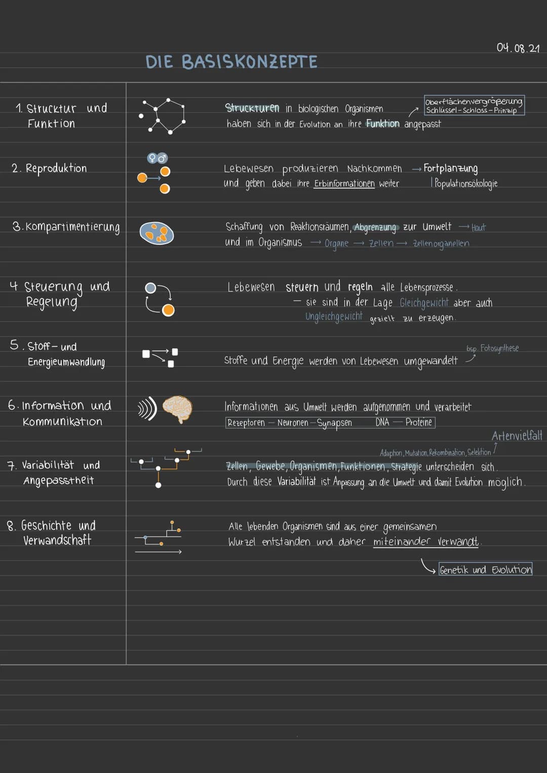 04.08.21
DIE BASISKONZEPTE
1. Strucktur und
Funktion
Struckturen in biologischen Organismen
haben sich in der Evolution an ihre Funktion a
